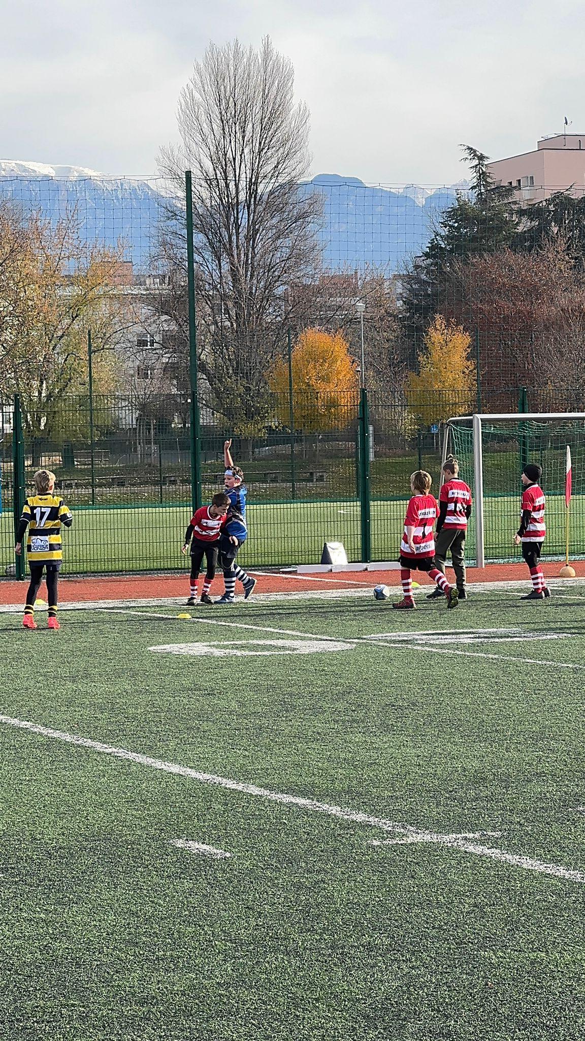 immagine whatsapp 2025-11-30 ore 21.01.14_b71c374a.jpg