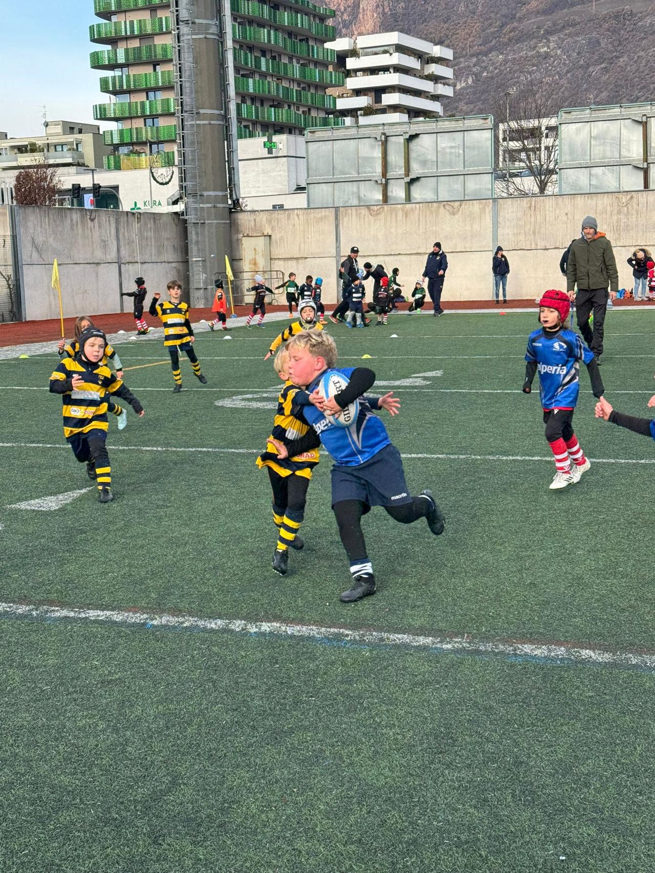 immagine whatsapp 2025-11-30 ore 18.58.43_e9000662.jpg