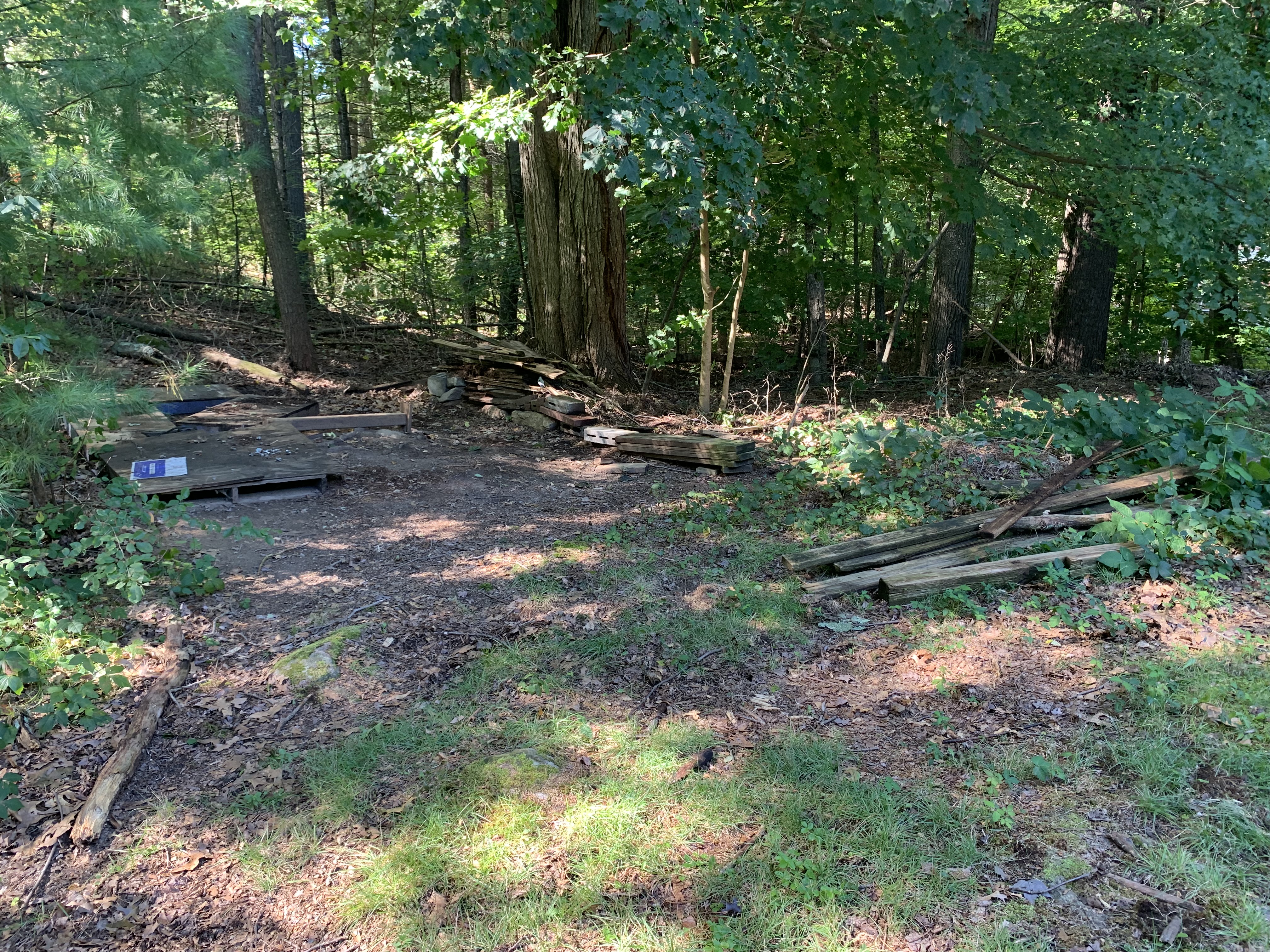 Before junk removal