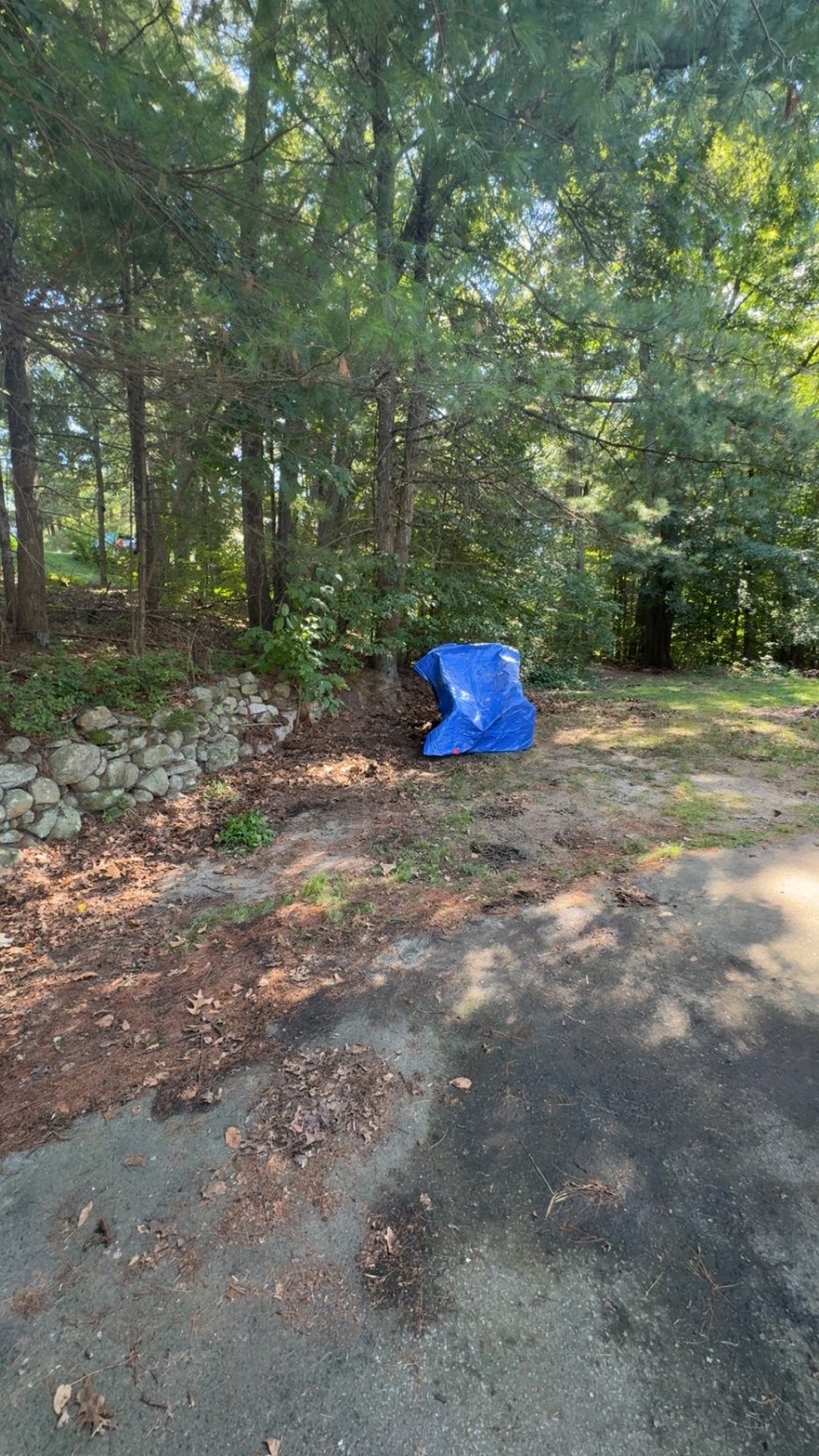 Before junk removal