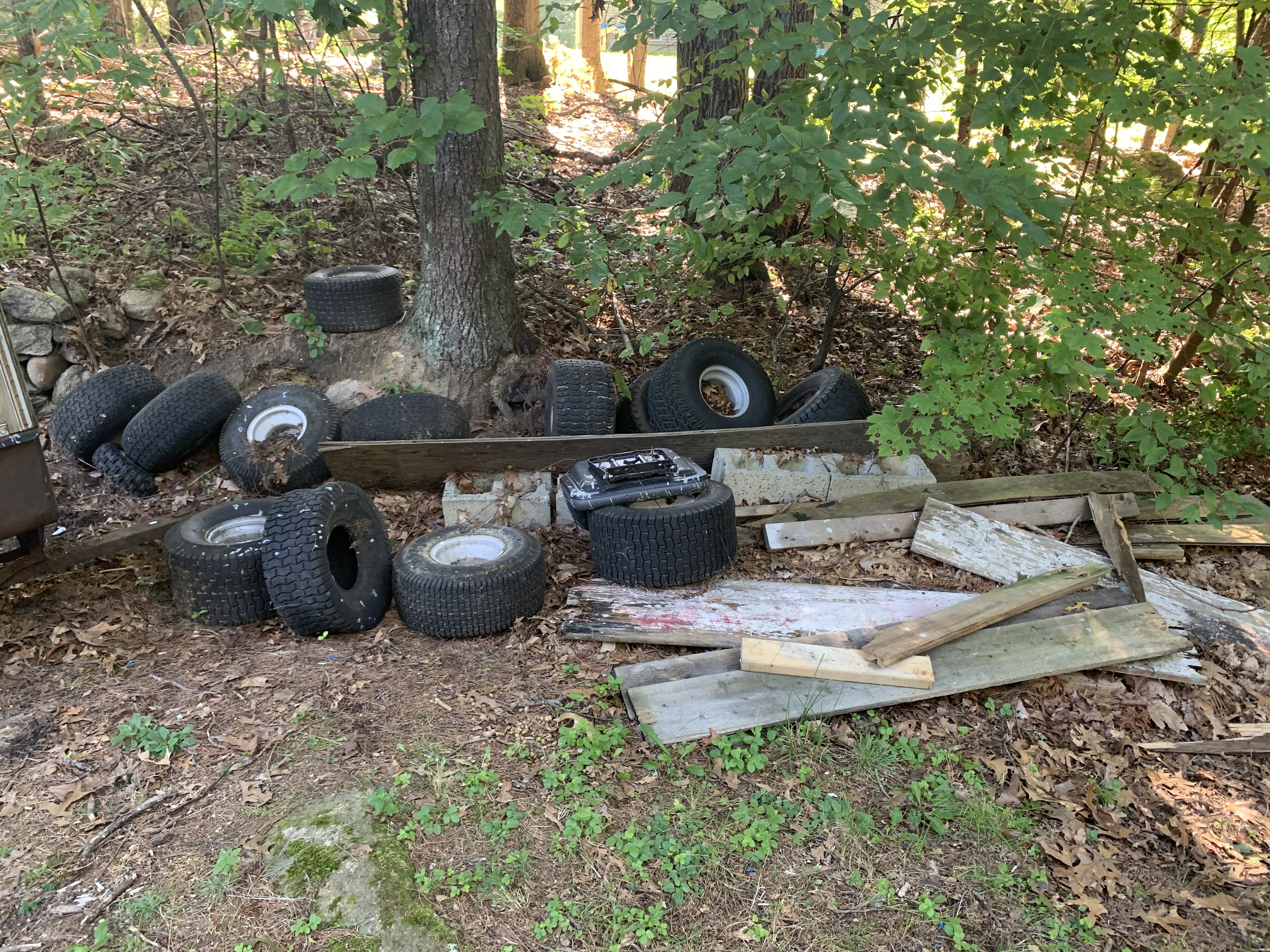 Before junk removal