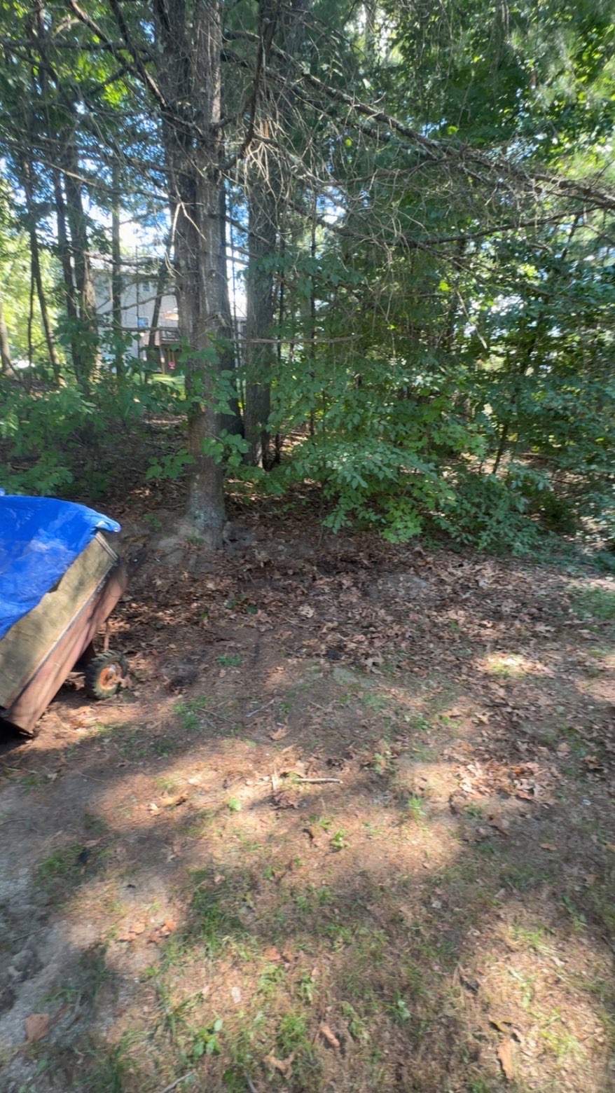 Before junk removal
