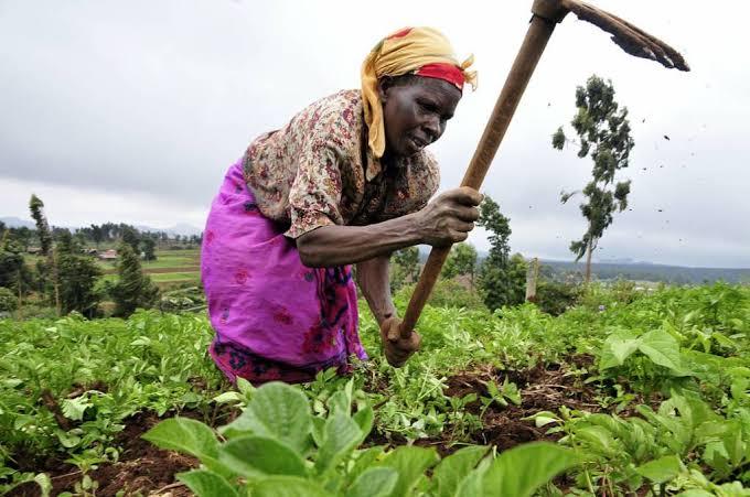 Agriculture durable et coopératives locales