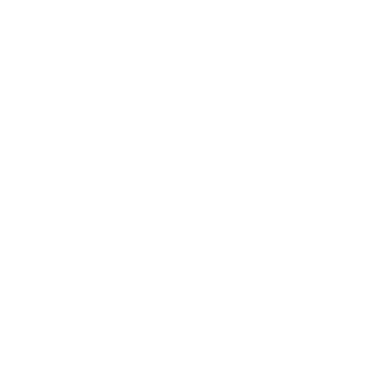 website.png