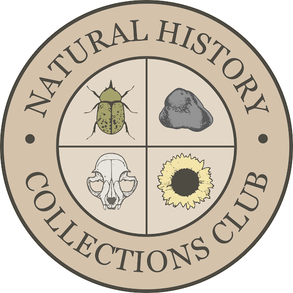 nhcc-1759207594617.png