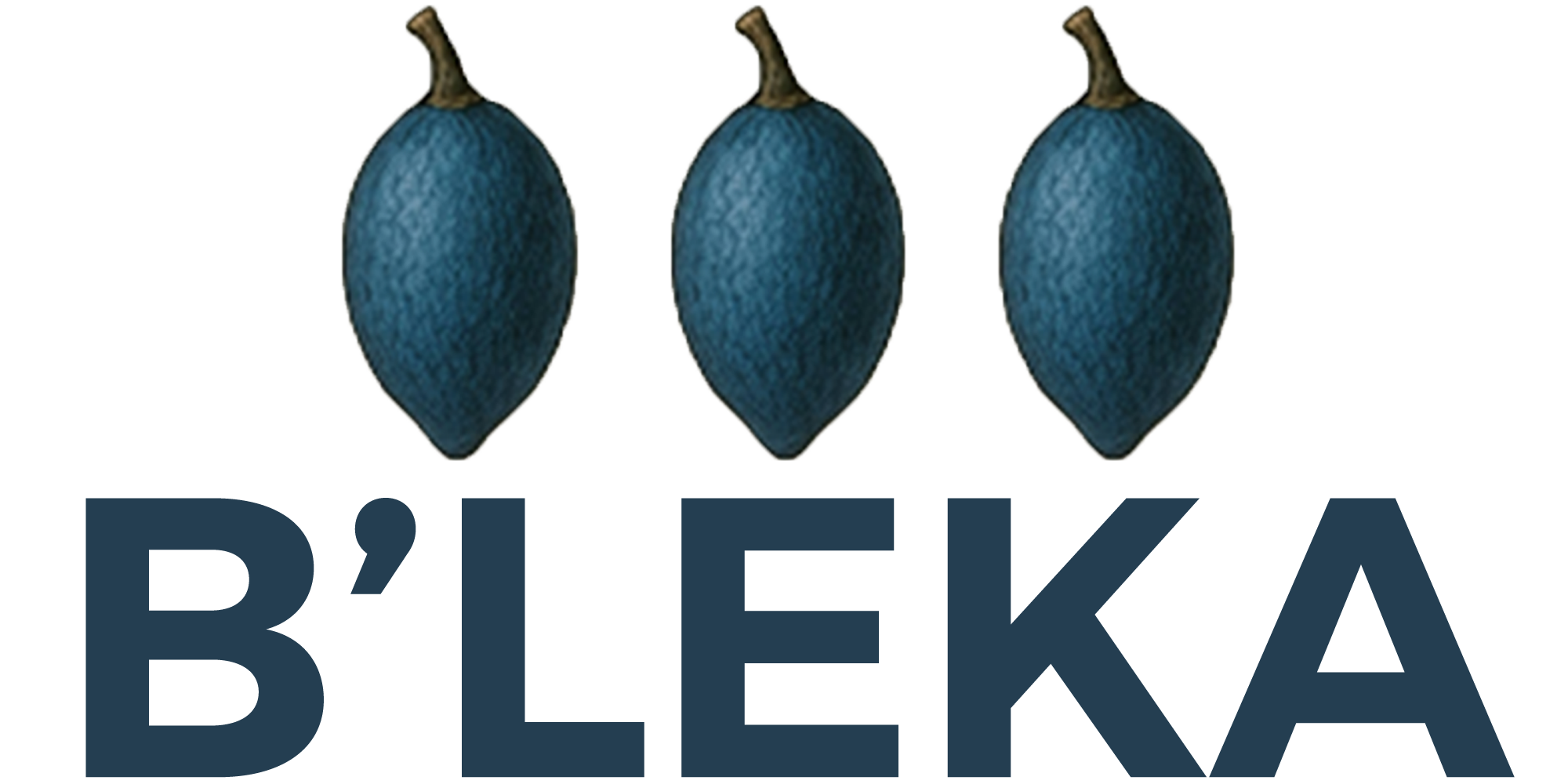 B'LEKA SARL