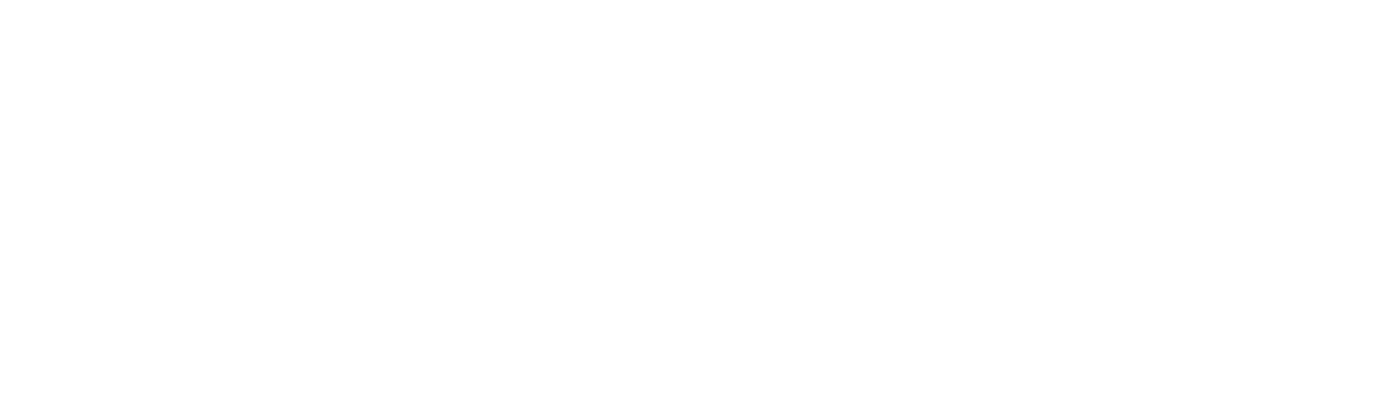 horizontal logo no bg.png