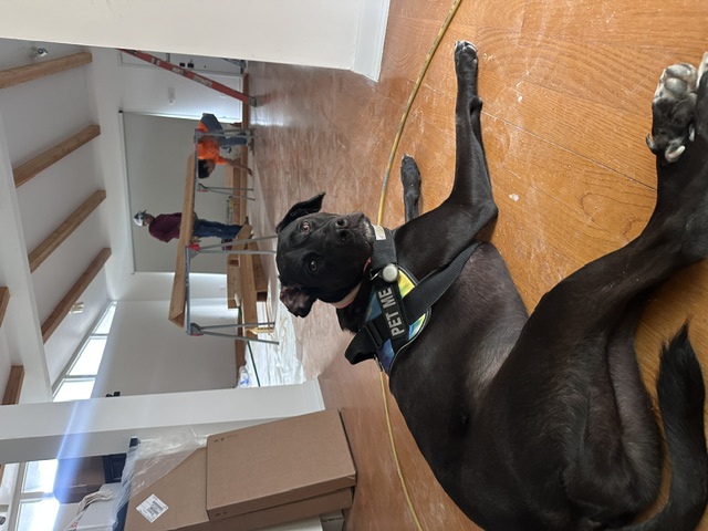 Team Member