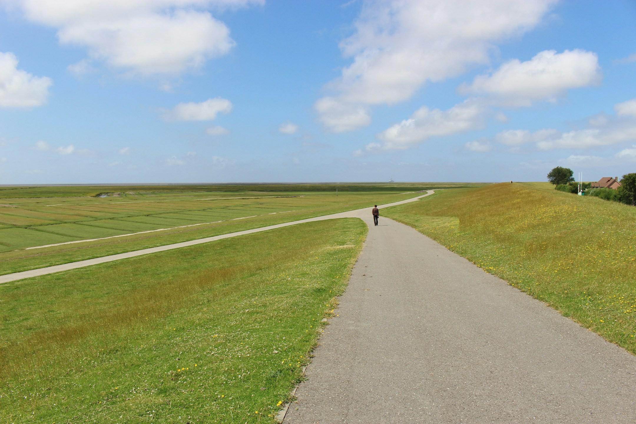 Vast, open landscape in the Schleswig-Holstein National Park Wattenmeer. A man walks along a dirt road. Northern Germany, Europe.
