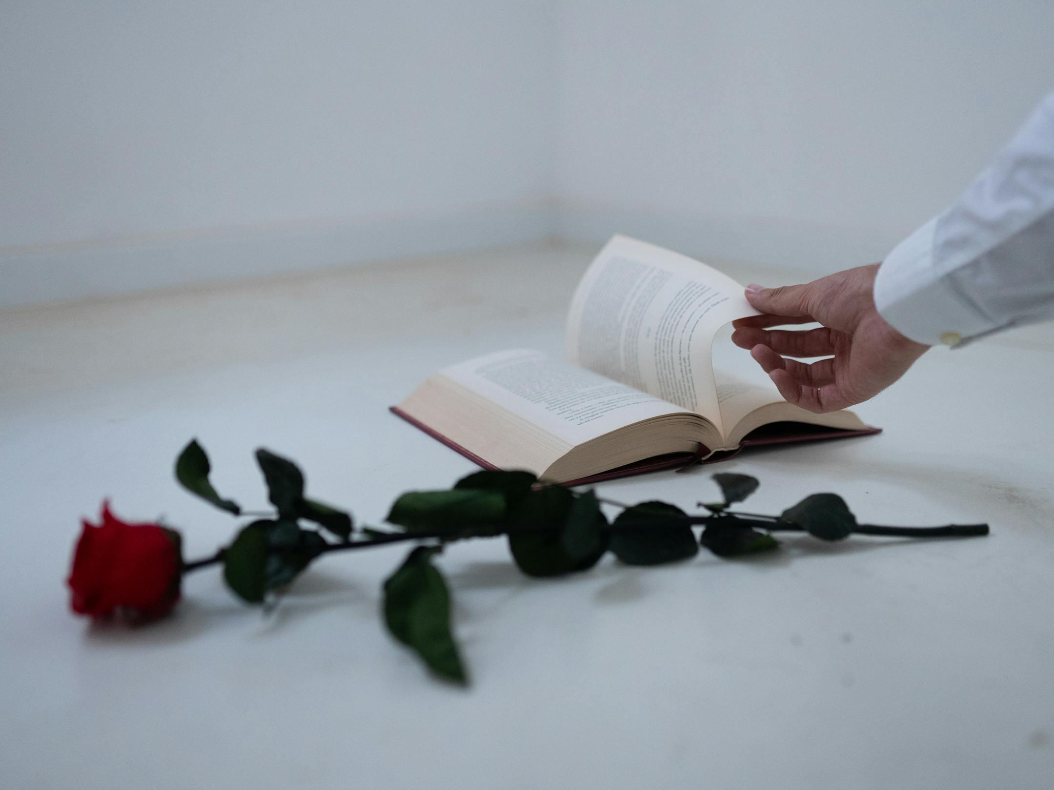 A hand turns a book page beside a single red rose on a white surface, evoking romance.
