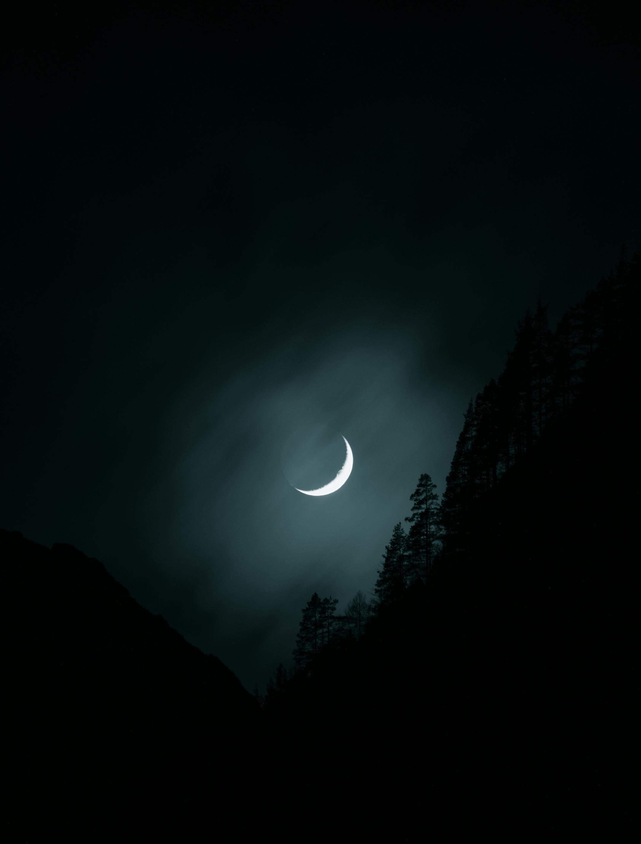 Crescent moon glowing in a mysterious night sky over the forested landscape of Slovenia.