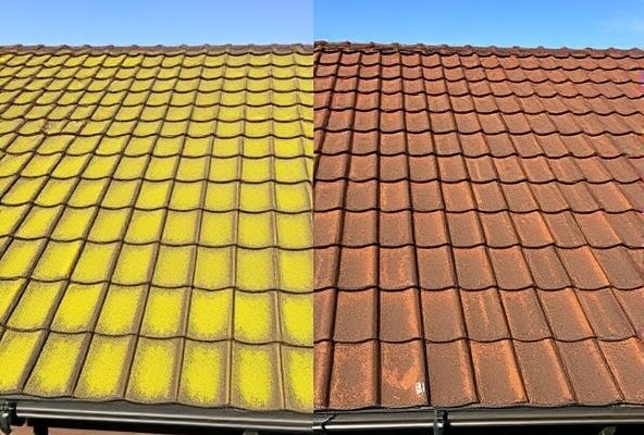 Residential roof after professional organic cleaning showing refreshed shingles