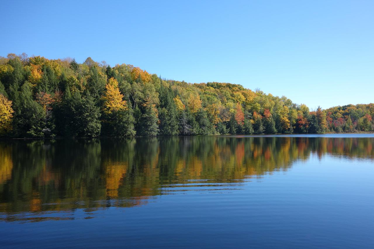 Fall in northern Wisconsin, USA