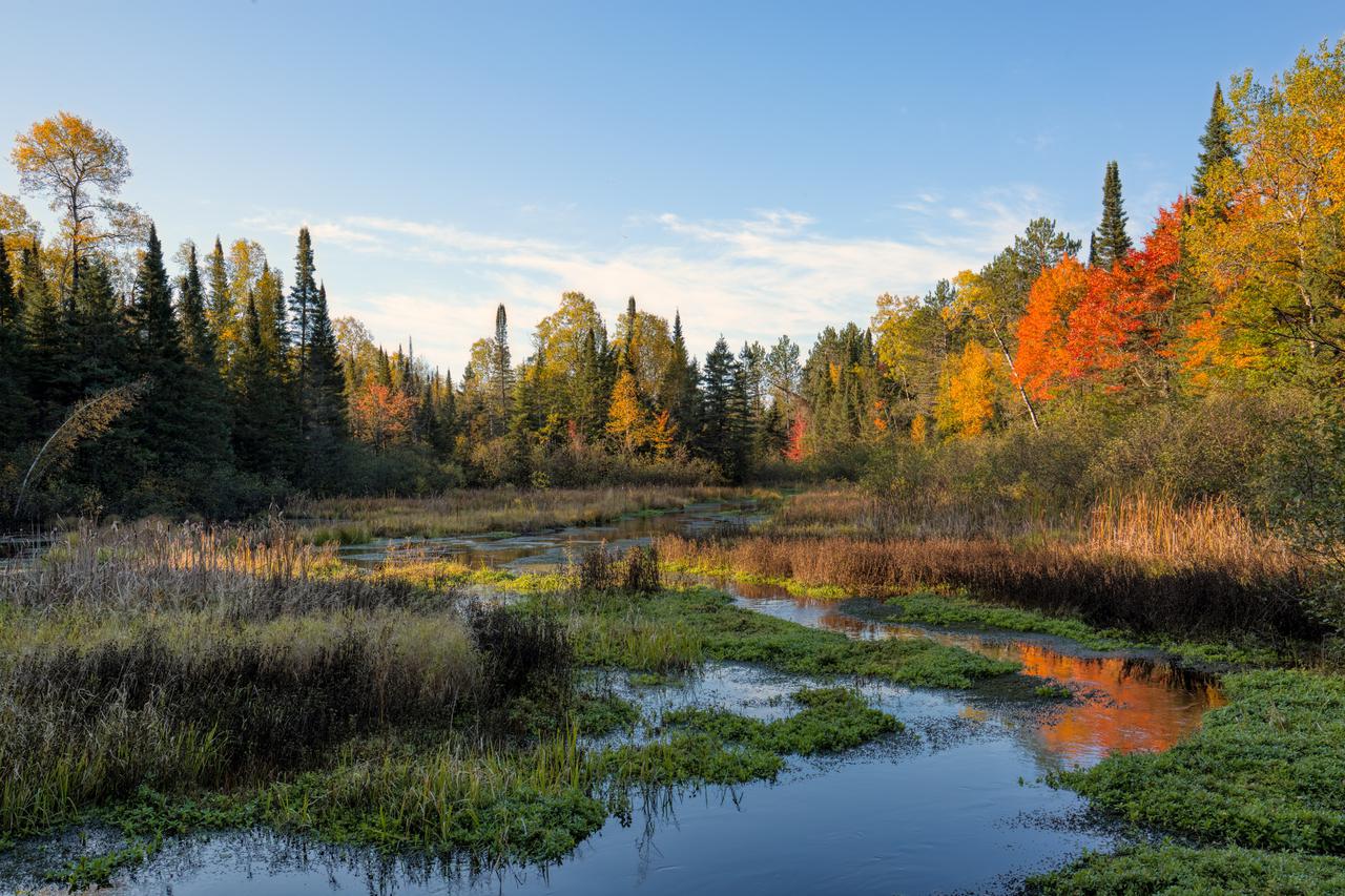 A natural scene in Wisconsin.