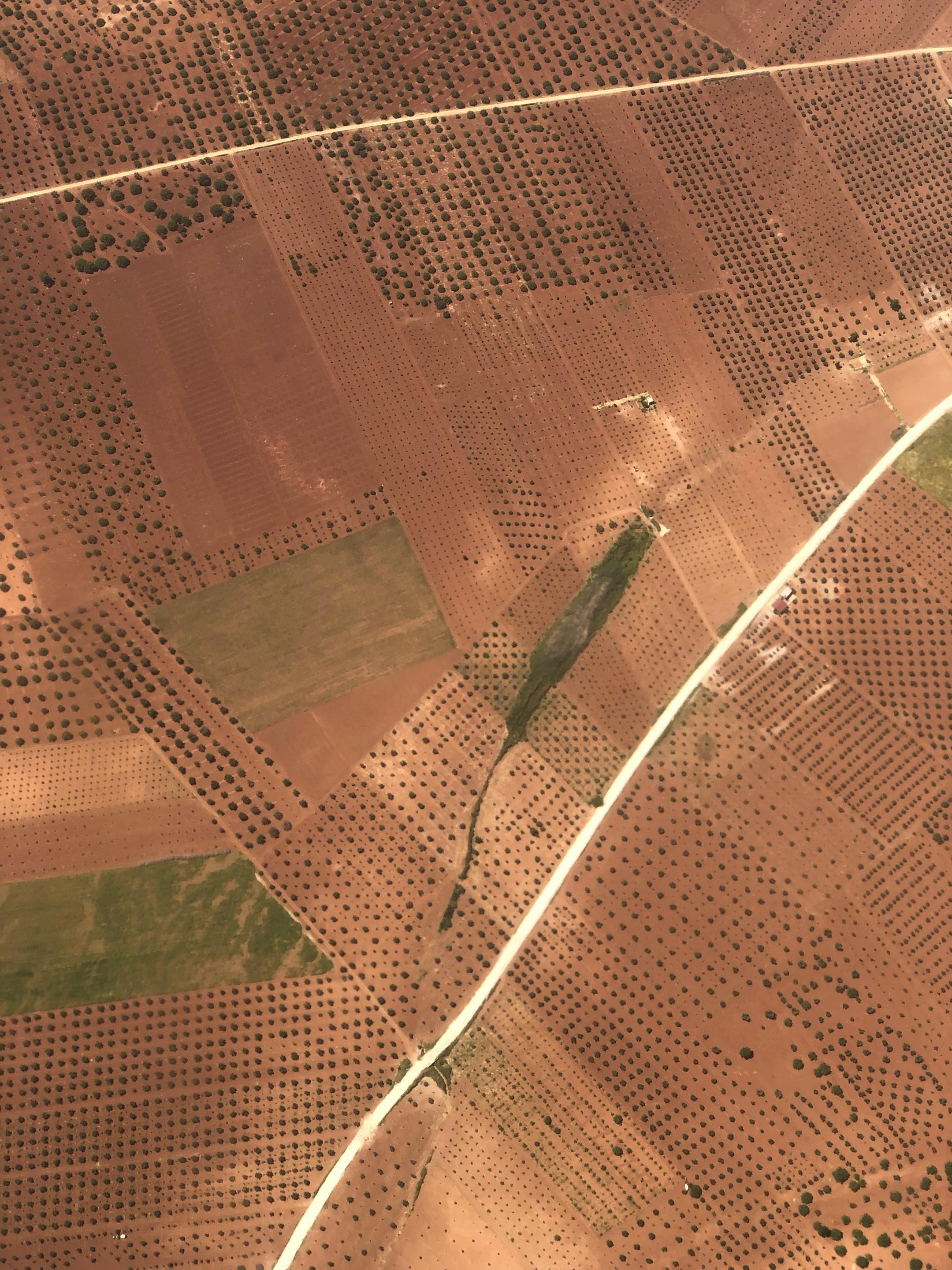 Aerial view showing geometric patterns in brown agricultural fields and roads.