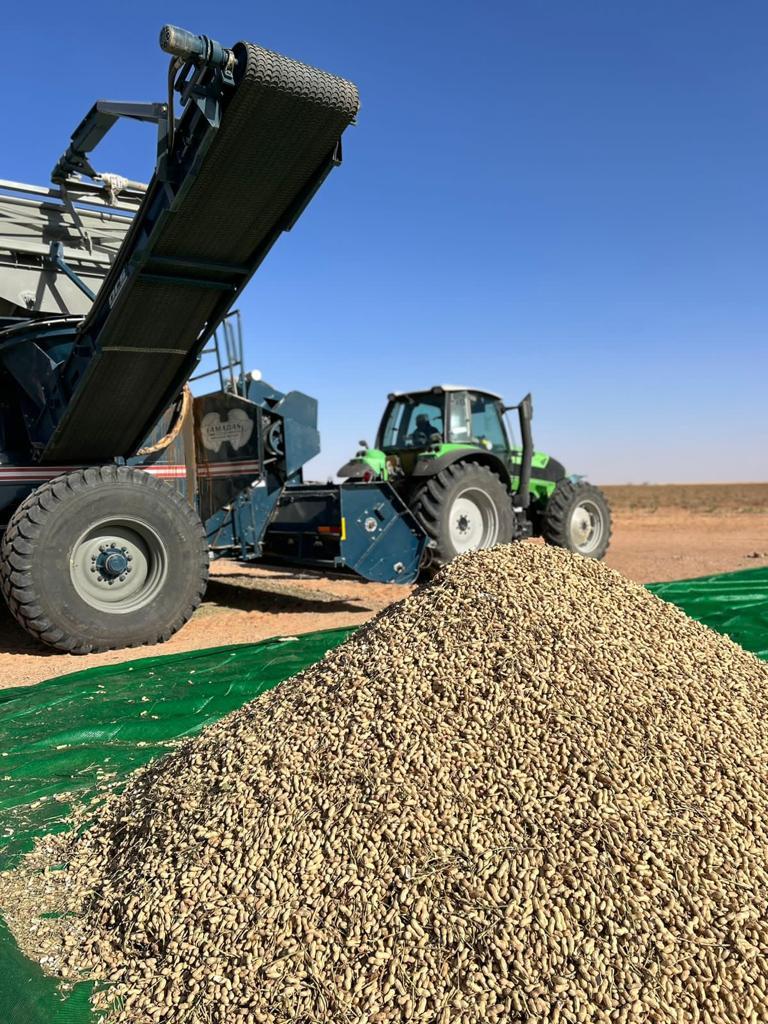 whatsapp image 2025-10-28 at 11.30.04.jpeg