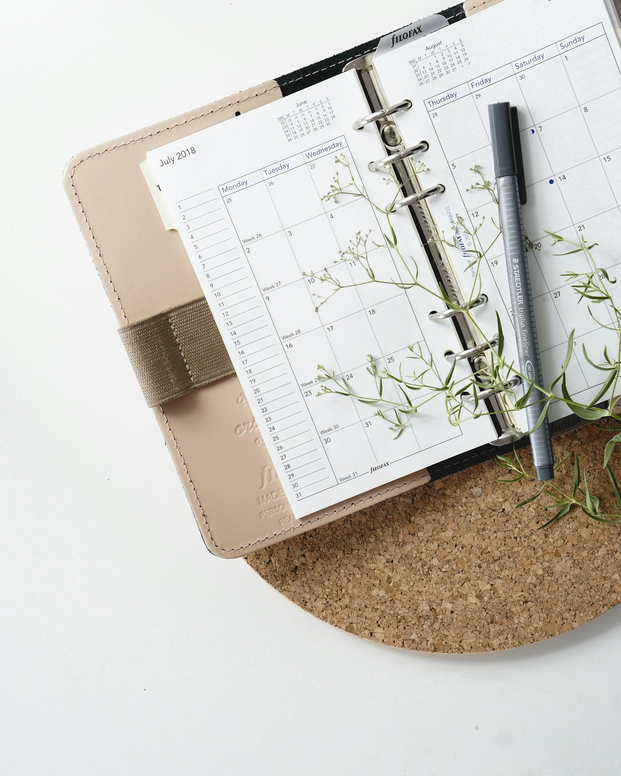 A of my Filofax Original Nude in personal size for