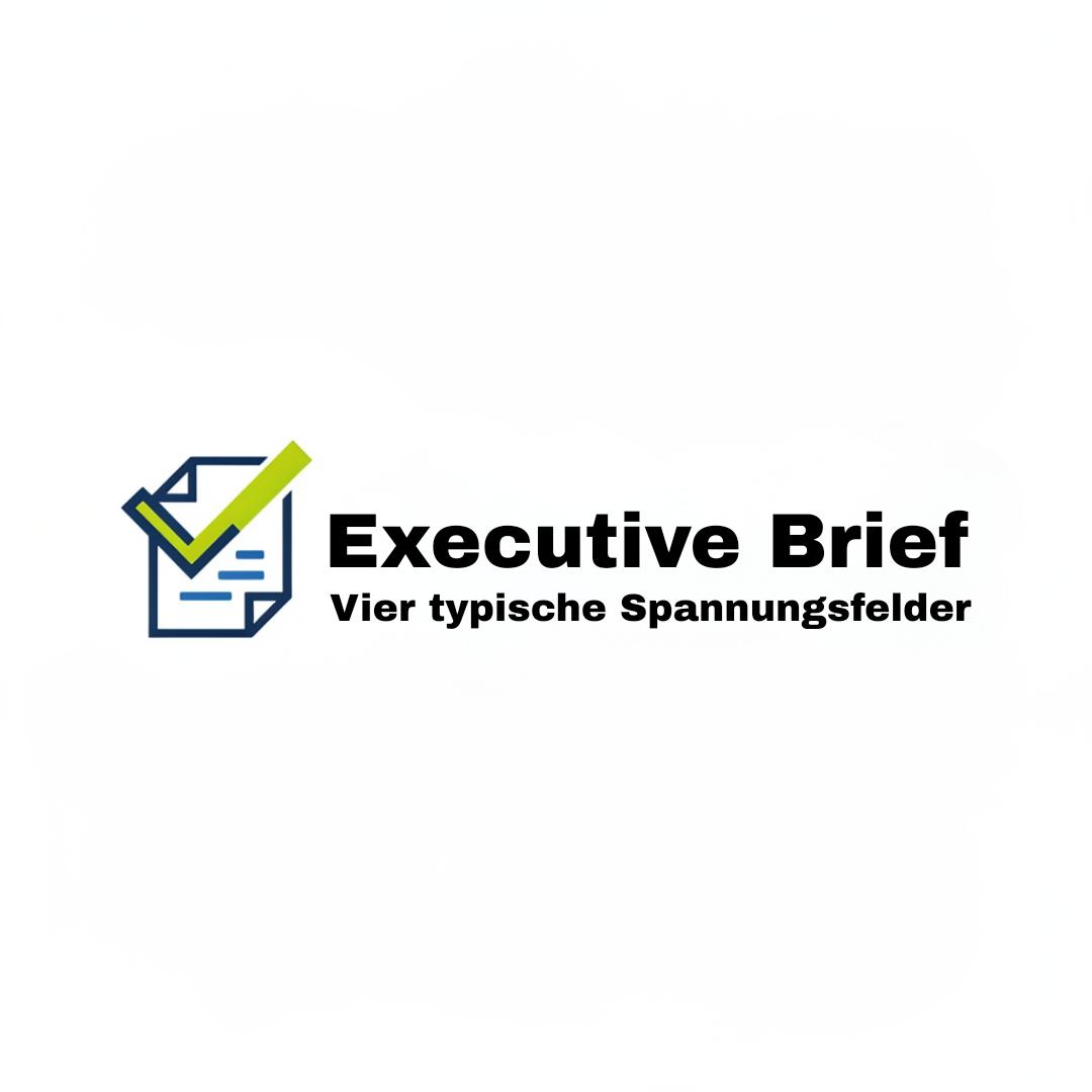 execute brief logo 4 spannungsfelder.png