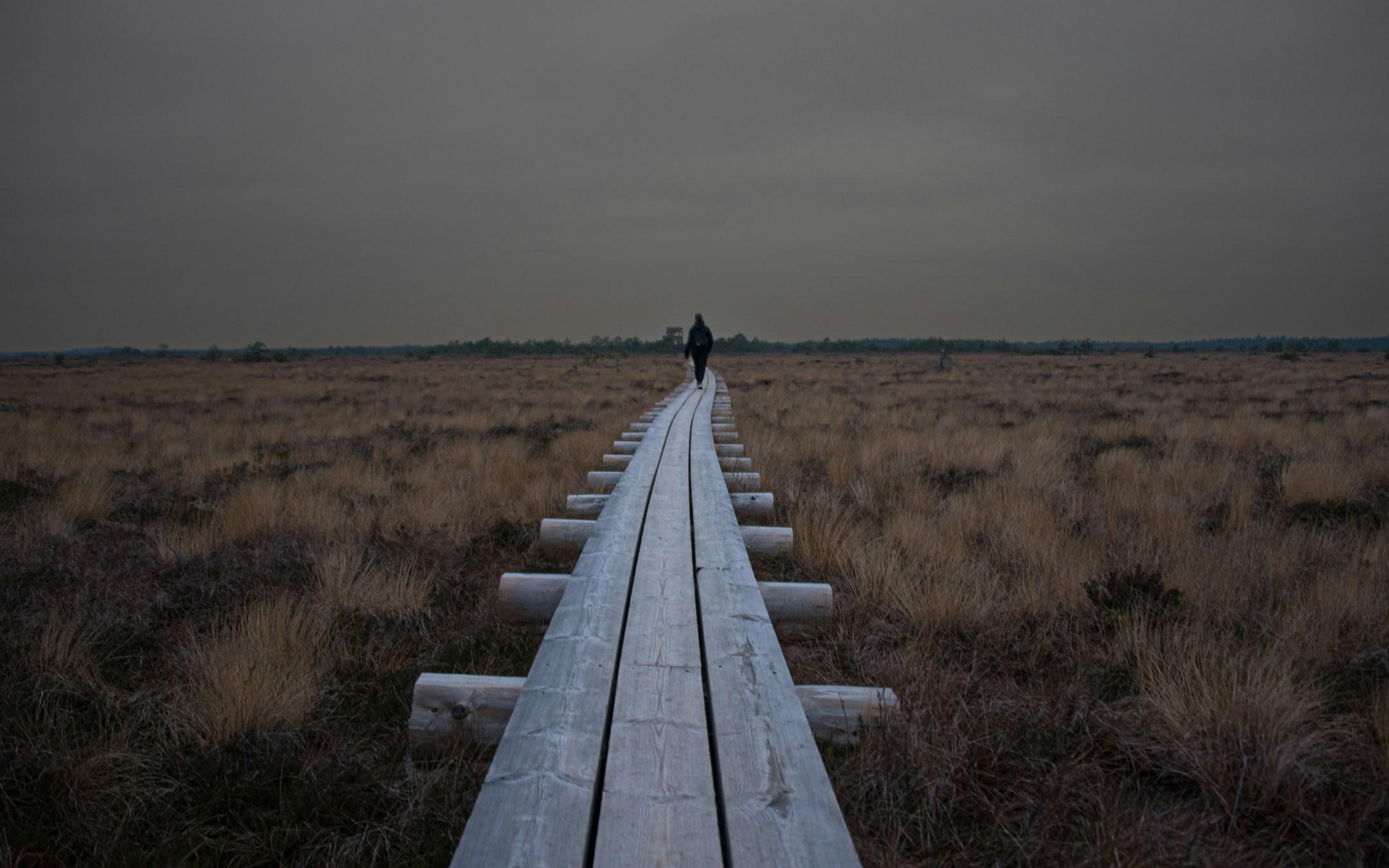 A long wooden boardwalk stretching into the distance through Marimetsa Bog. The boardwalk is elevated slightly above the bog, with logs supporting it on either side. The landscape is flat and open, covered with sparse, dry grasses and low vegetation typical of a bog environment. The sky is overcast, casting a dim light over the scene, adding to the moody and tranquil atmosphere.