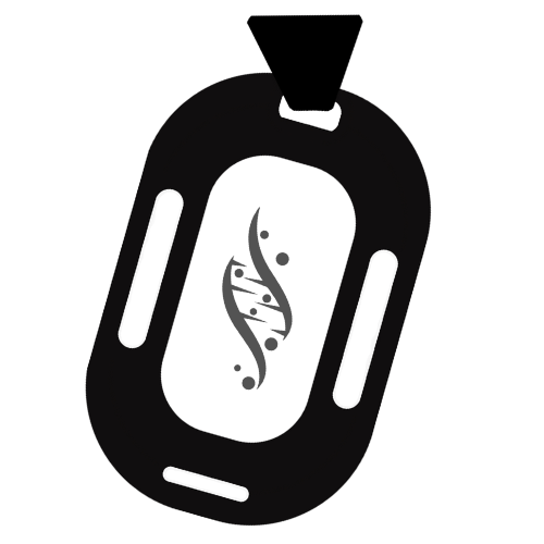 ambercore-icon copy.png