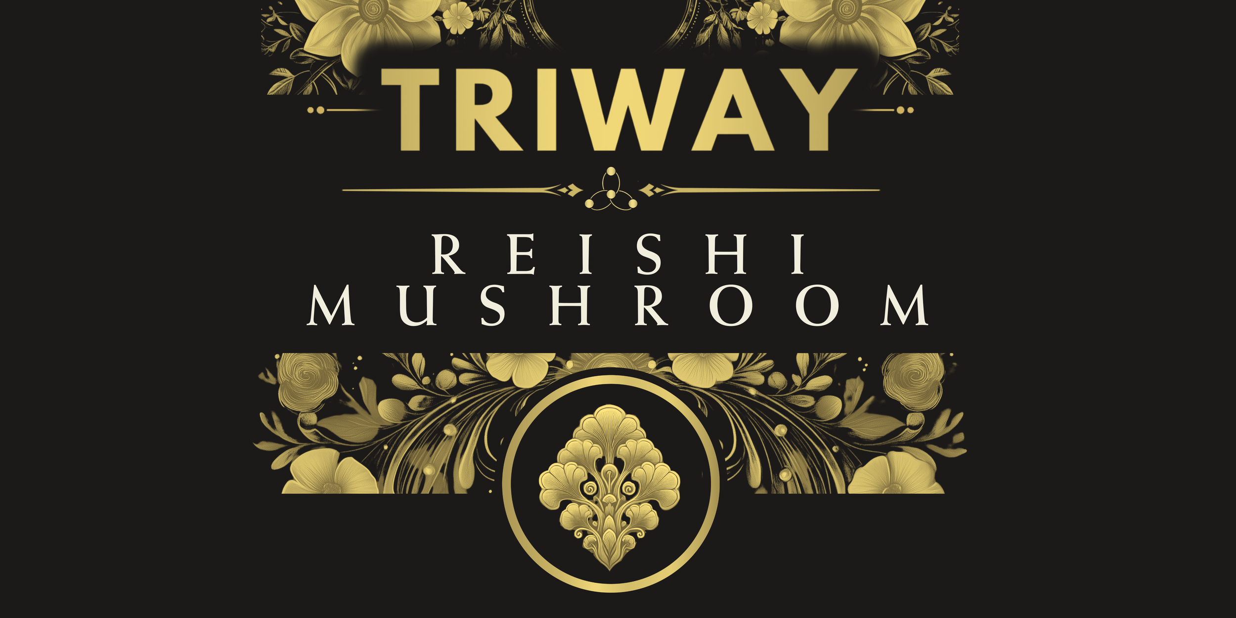 copia de broachure triway (2400 x 4800 px) (2400 x 4800 px) (4800 x 2400 px) (2).png