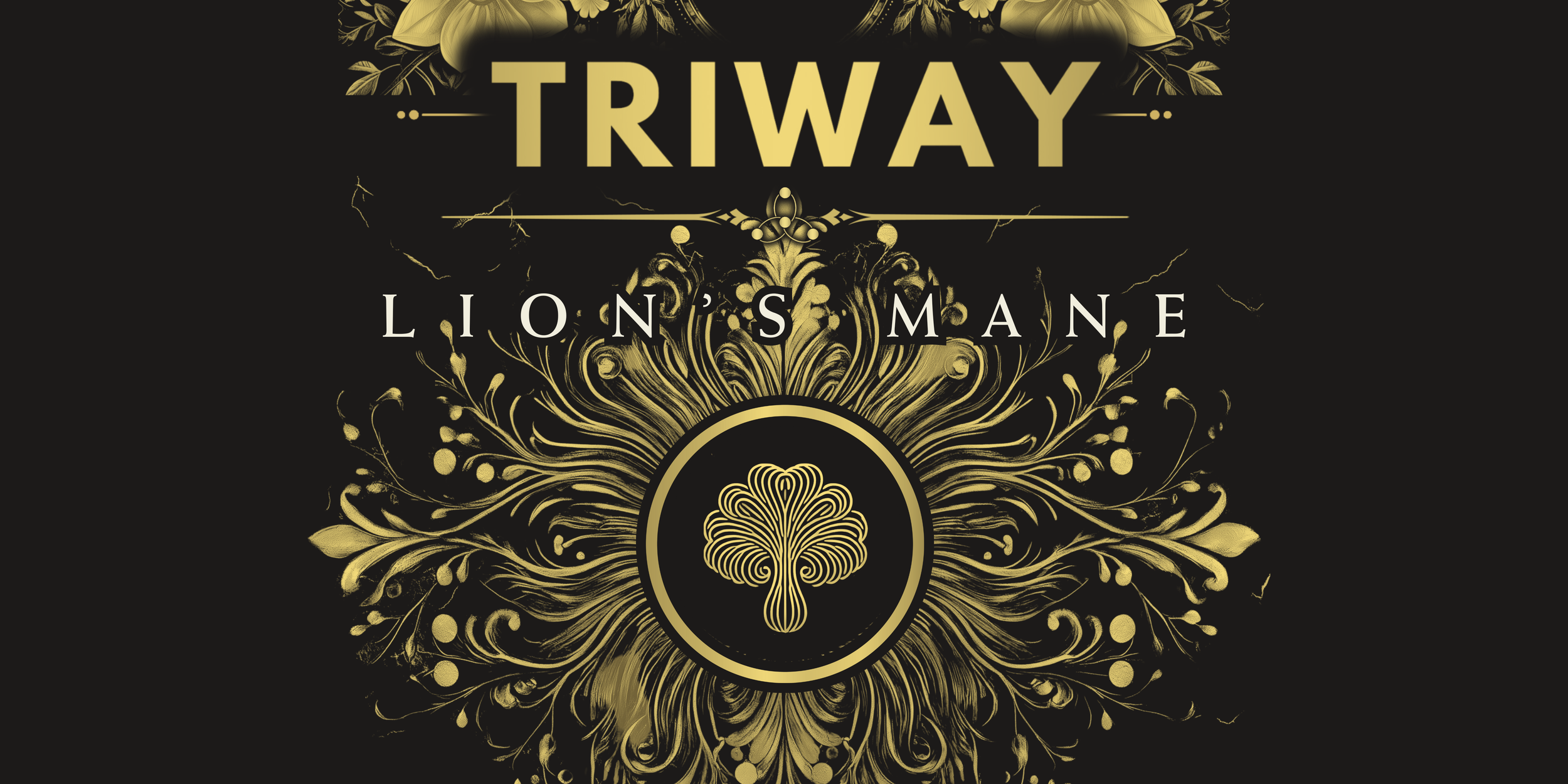 copia de broachure triway (2400 x 4800 px) (2400 x 4800 px) (4800 x 2400 px) (4).png