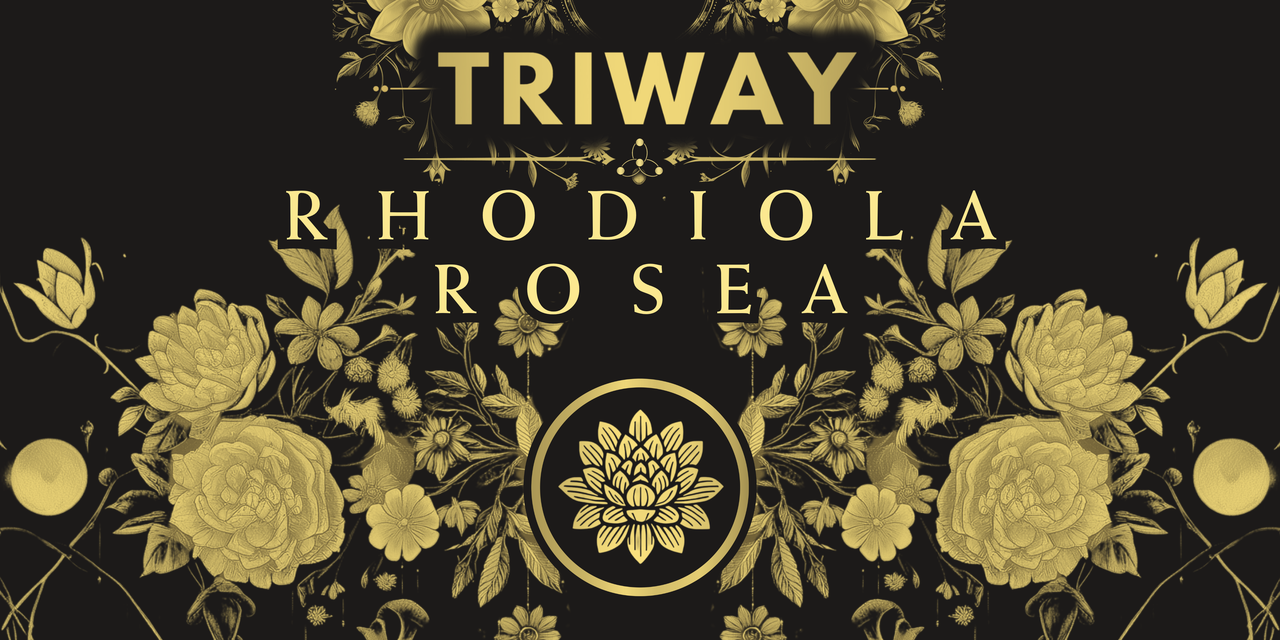 copia de broachure triway (2400 x 4800 px) (2400 x 4800 px) (4800 x 2400 px).png