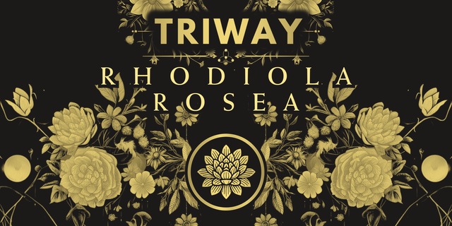 copia de broachure triway (2400 x 4800 px) (2400 x 4800 px) (4800 x 2400 px).png