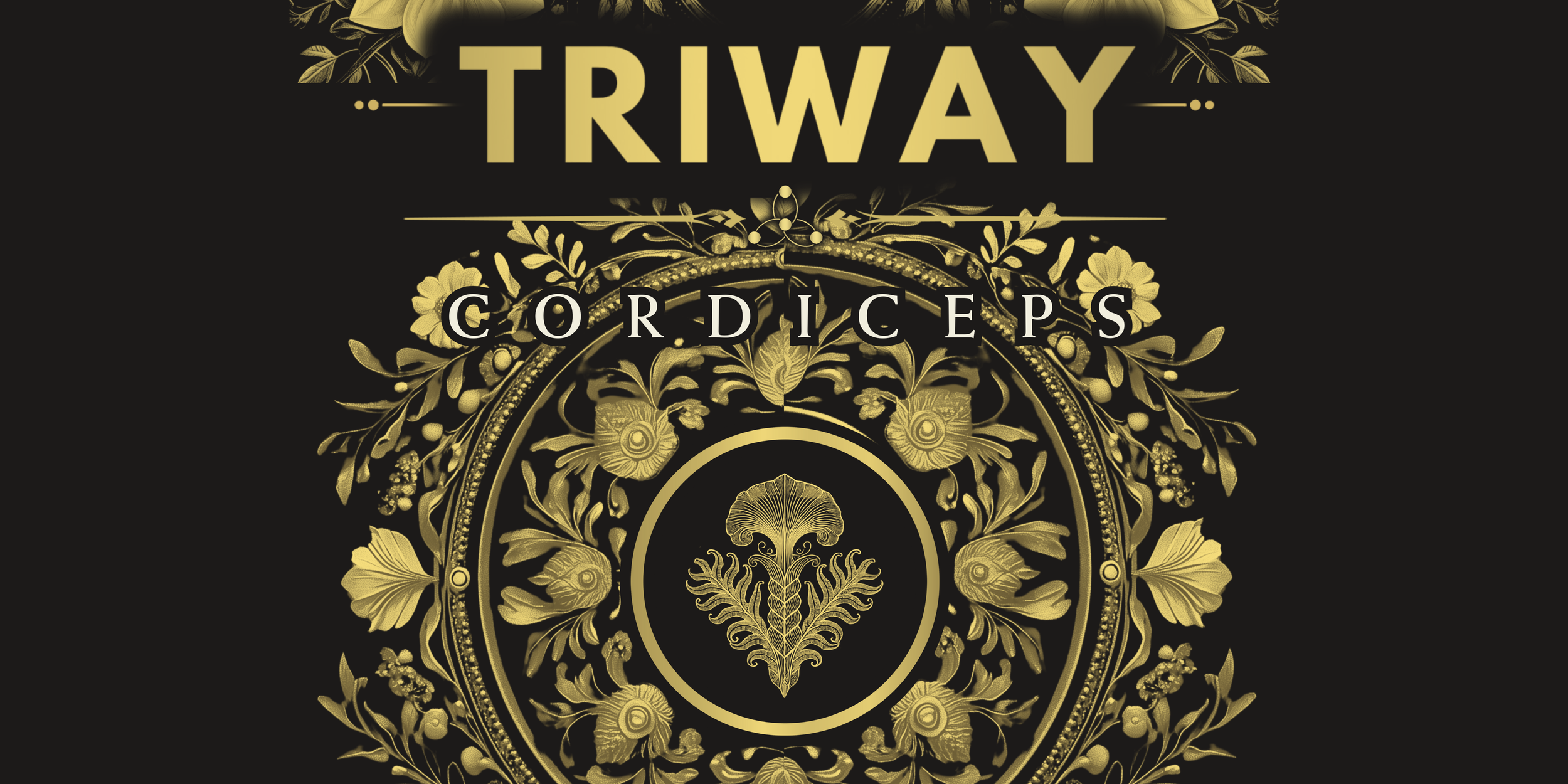 copia de broachure triway (2400 x 4800 px) (2400 x 4800 px) (4800 x 2400 px) (3).png