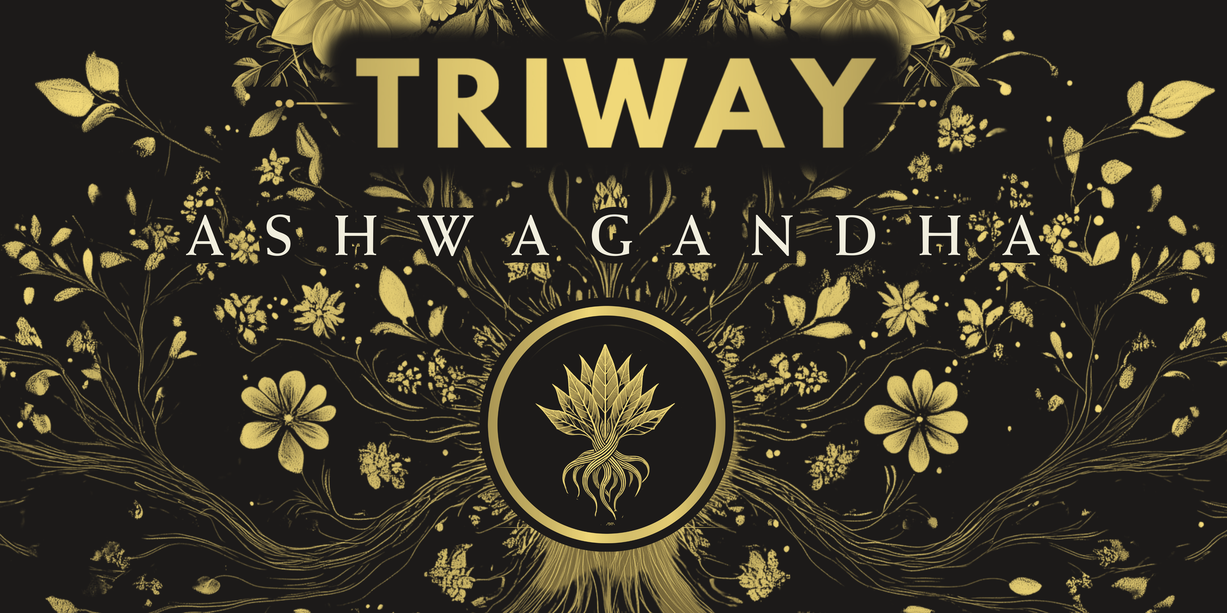 copia de broachure triway (2400 x 4800 px) (2400 x 4800 px) (4800 x 2400 px) (1).png