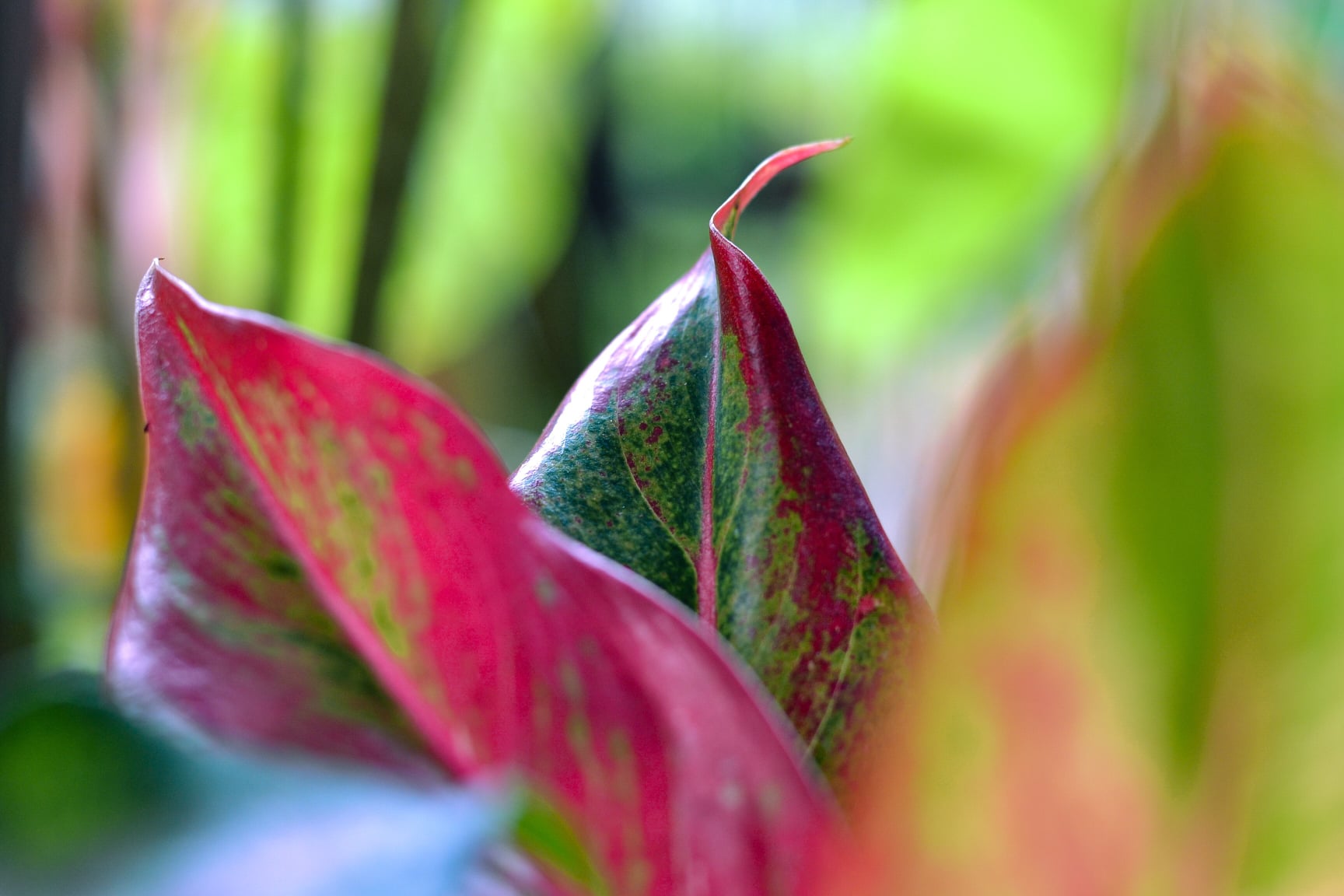 Creative Shots portfolio samples by John Moses Salamanca