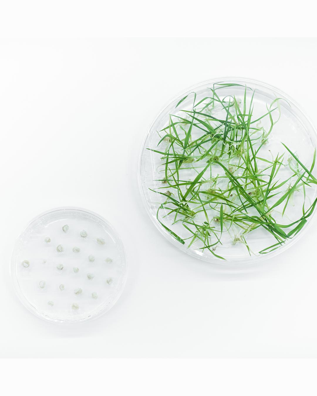 copy of background.jpg