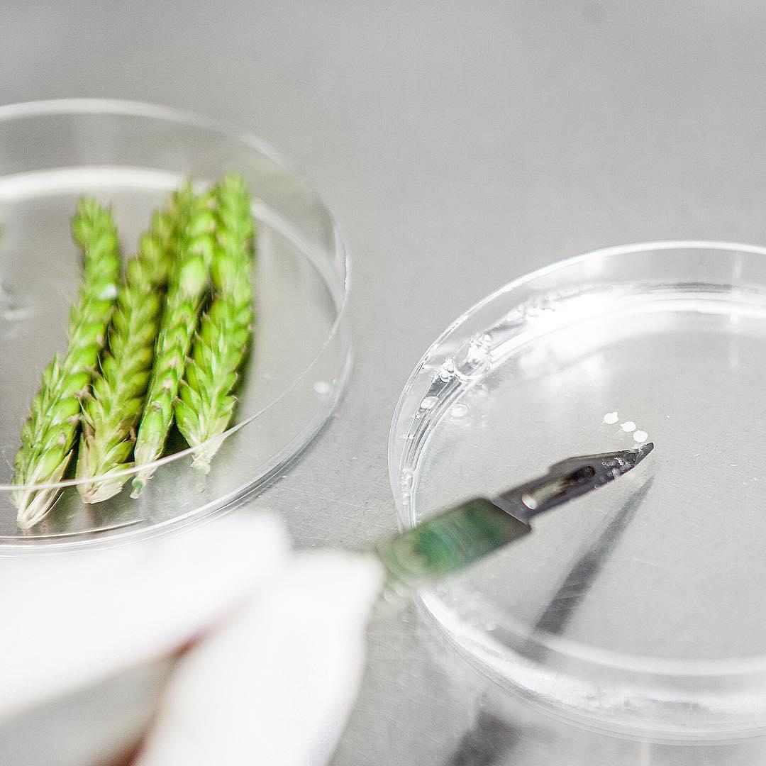 copy of h6jtz7n2o2s8xnhajs13.jpg