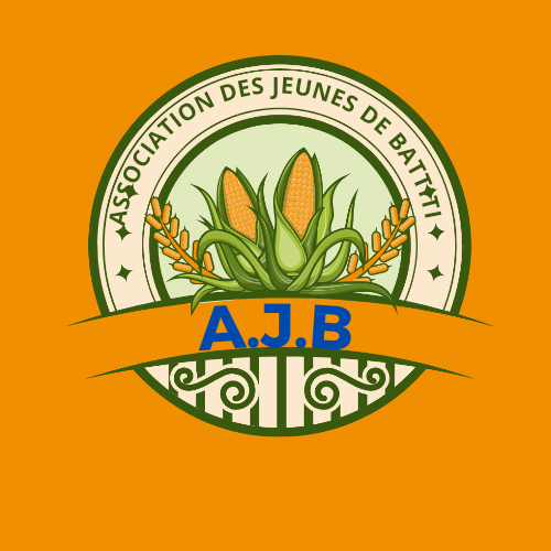 associationdes jeunes de battiti_20241207_165304_0000.png