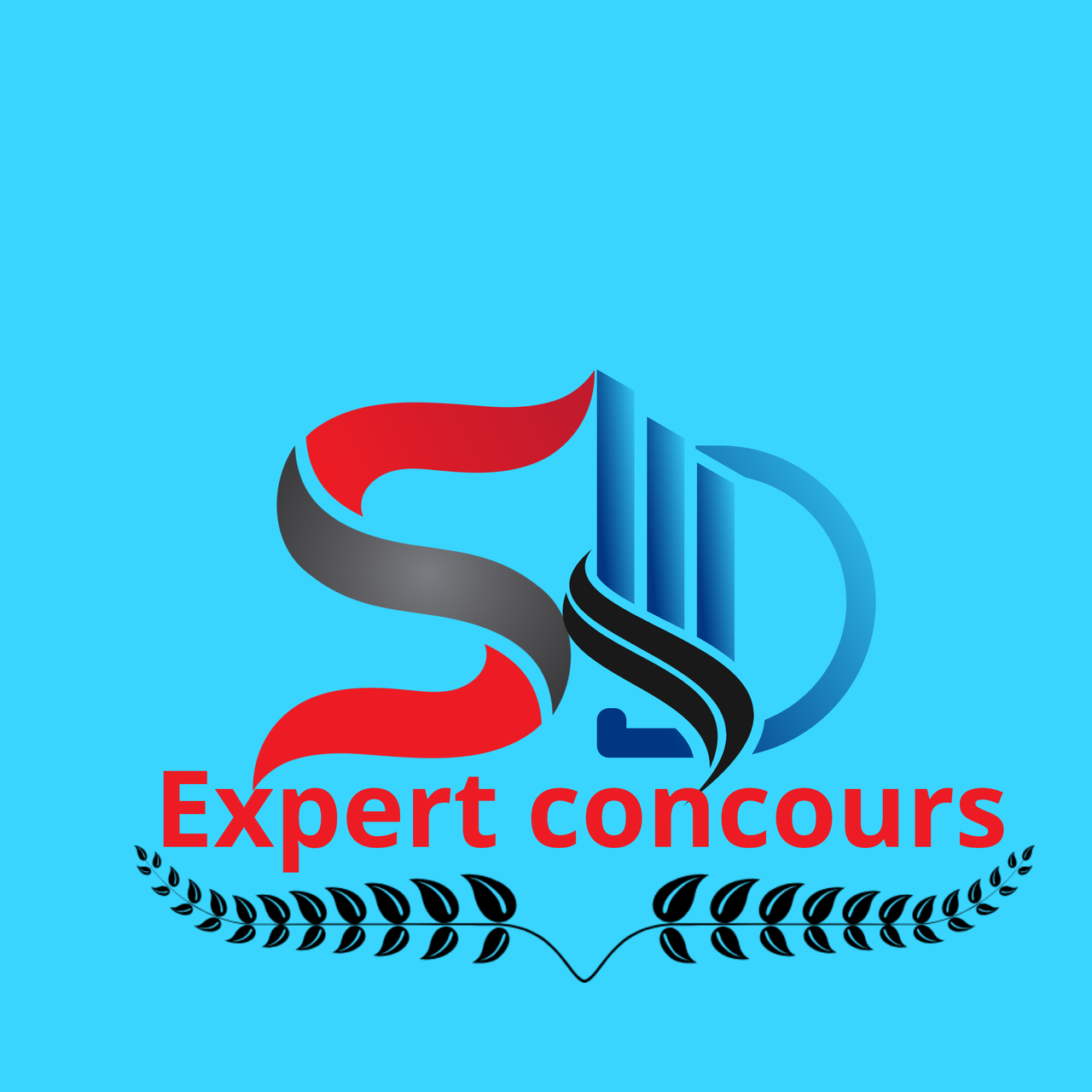 expert concours_20241207_172625_0000.png