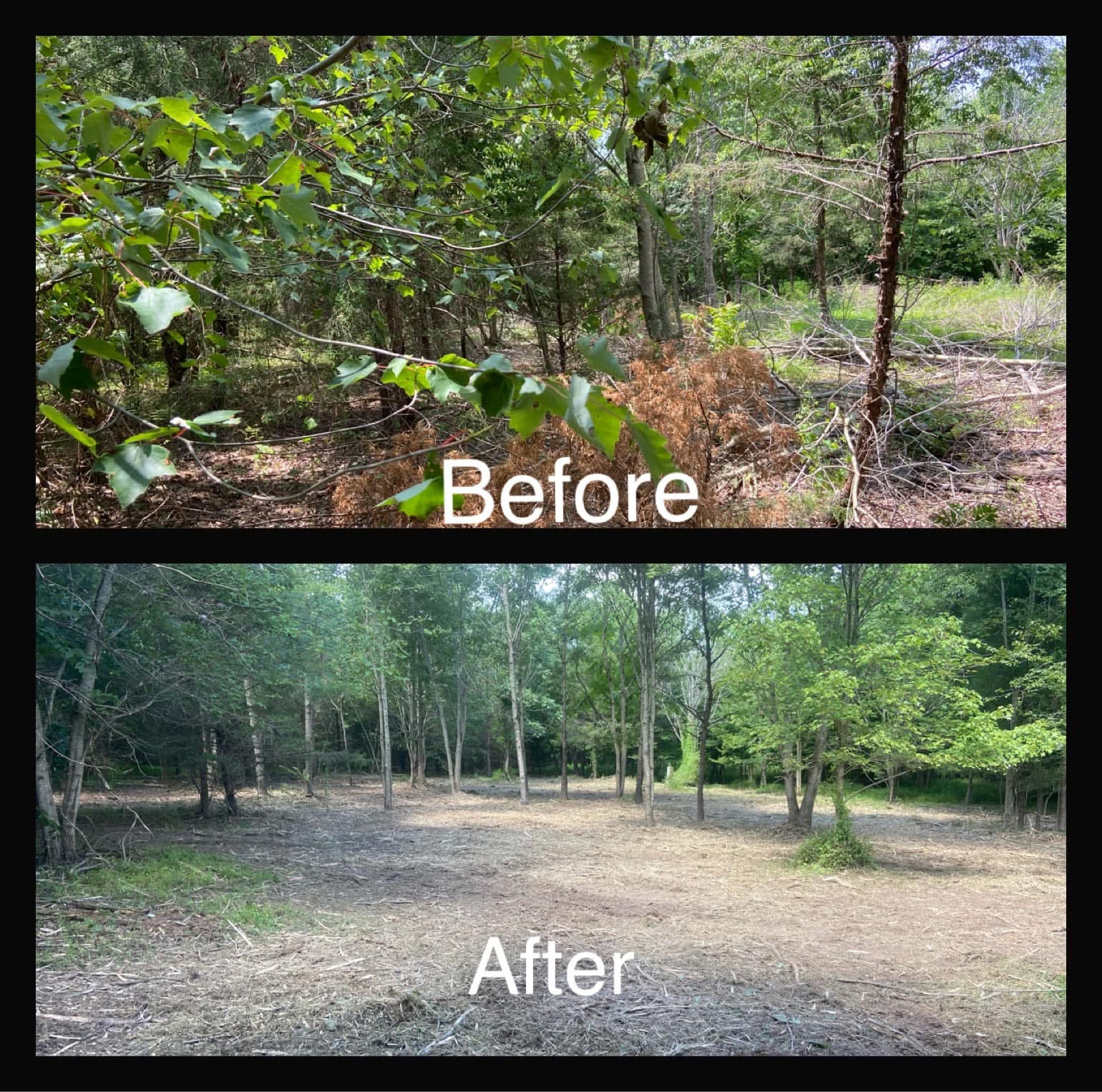 Land Clearing & Grading