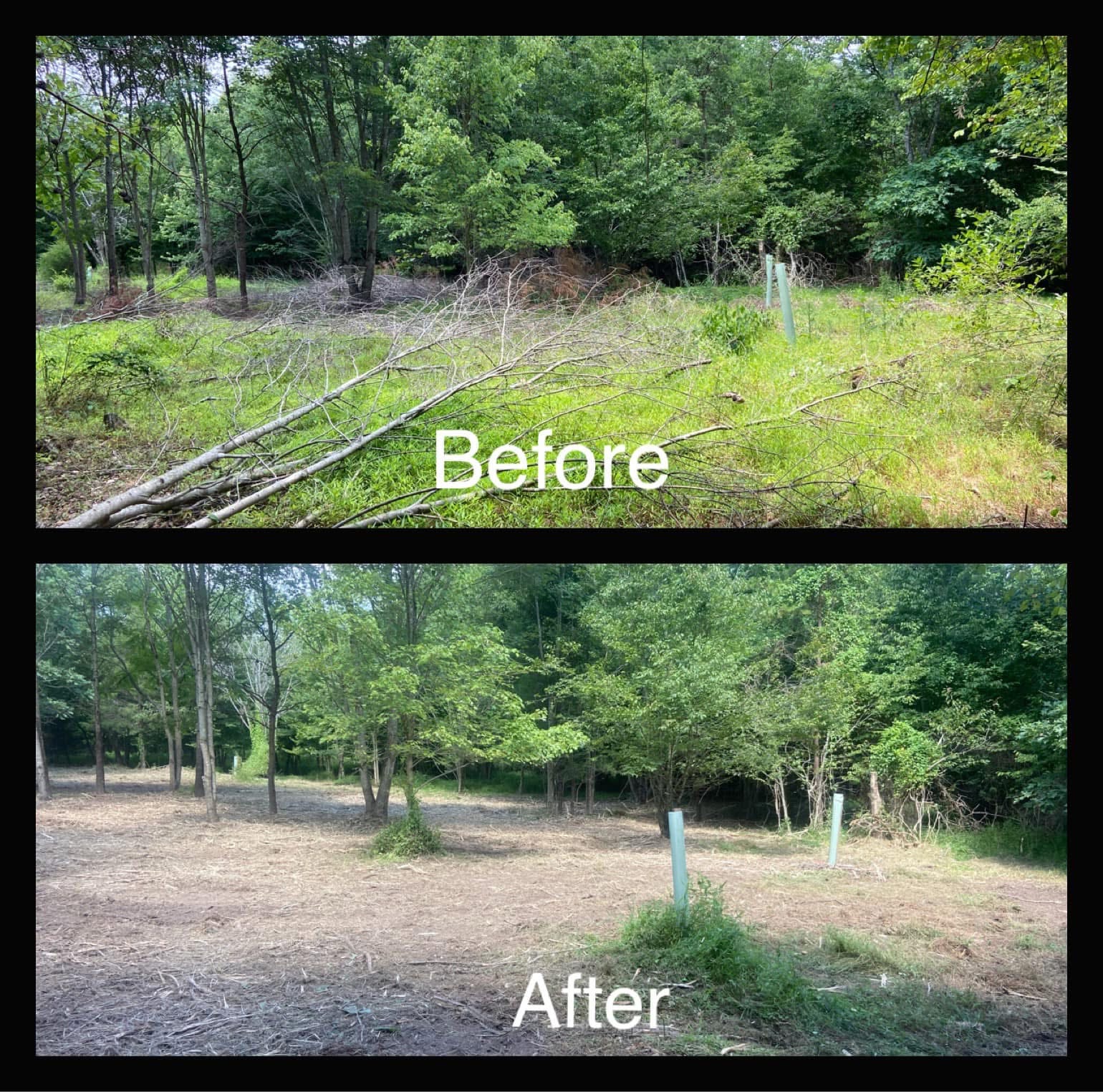 Land Clearing & Grading