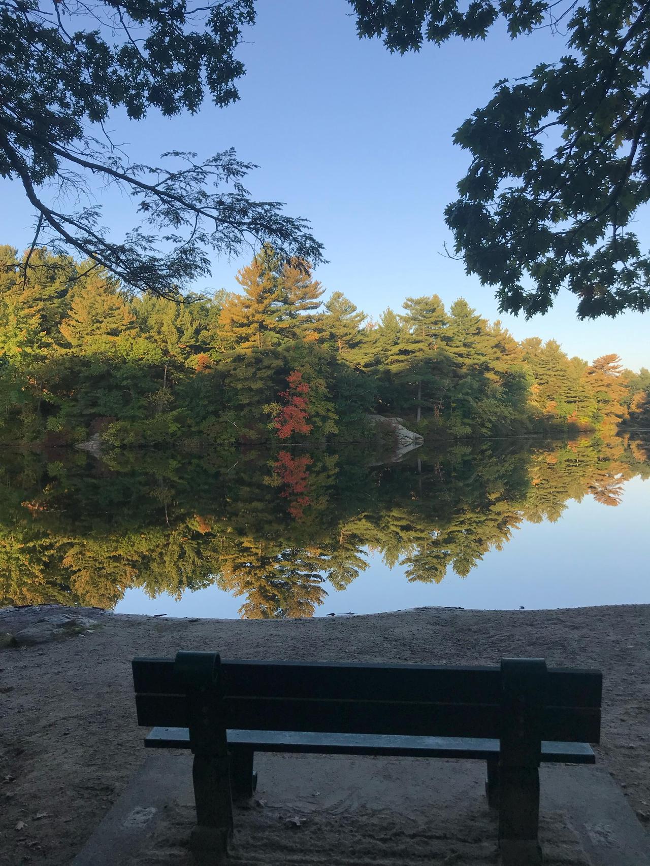 whatsapp image 2025-11-27 at 01.03.11.jpeg