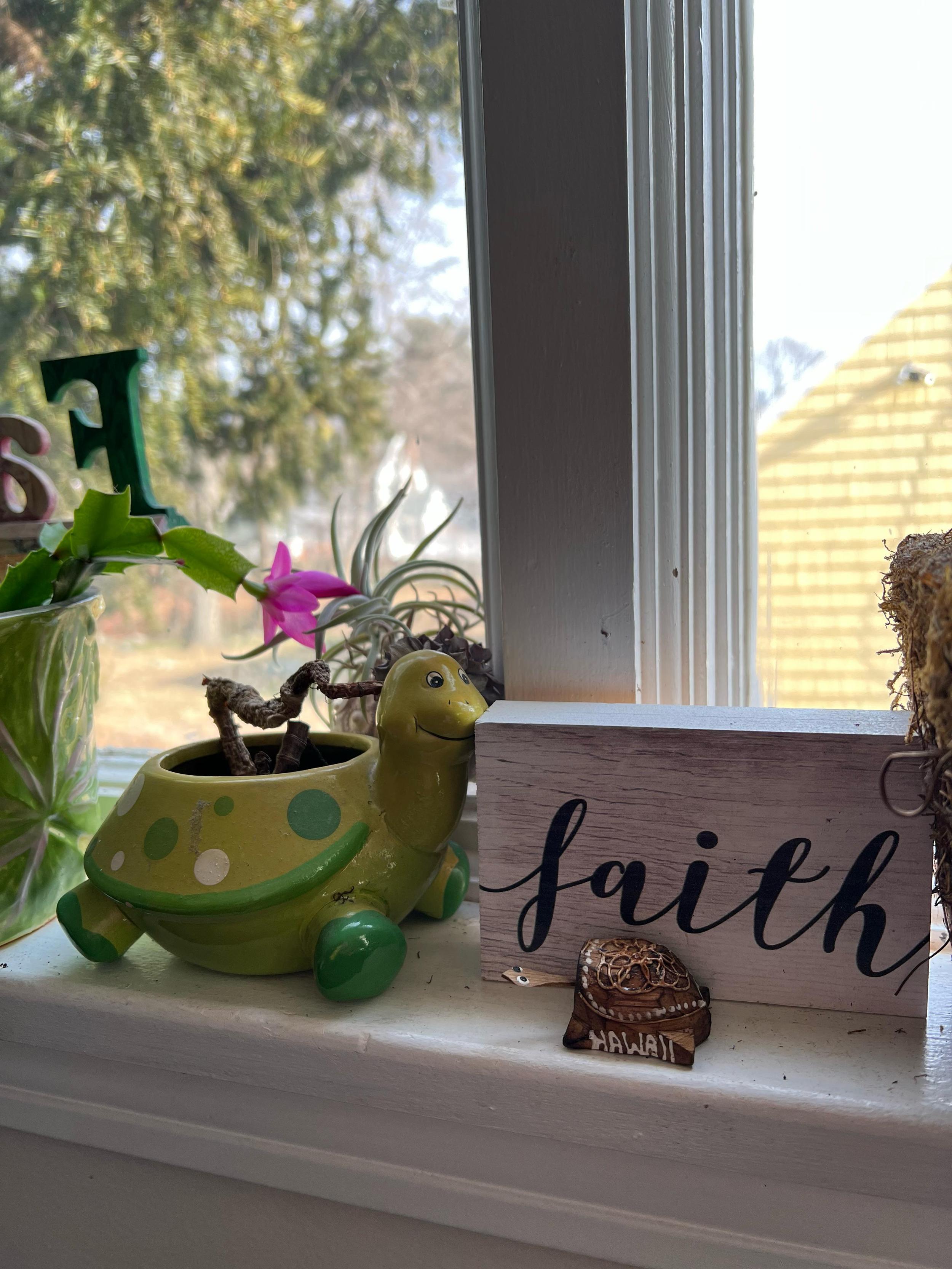 whatsapp image 2025-11-27 at 00.57.55.jpeg