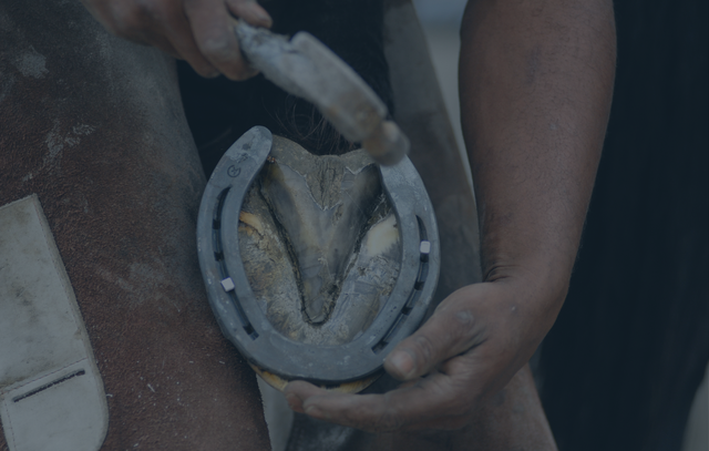farrier hoof darkened.png