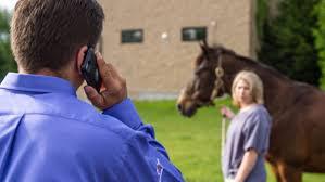 trainer on phone.jpg