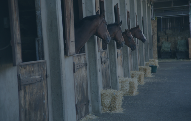 horse head barn darkened.png