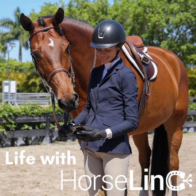 What is your favorite feature of HorseLinc
