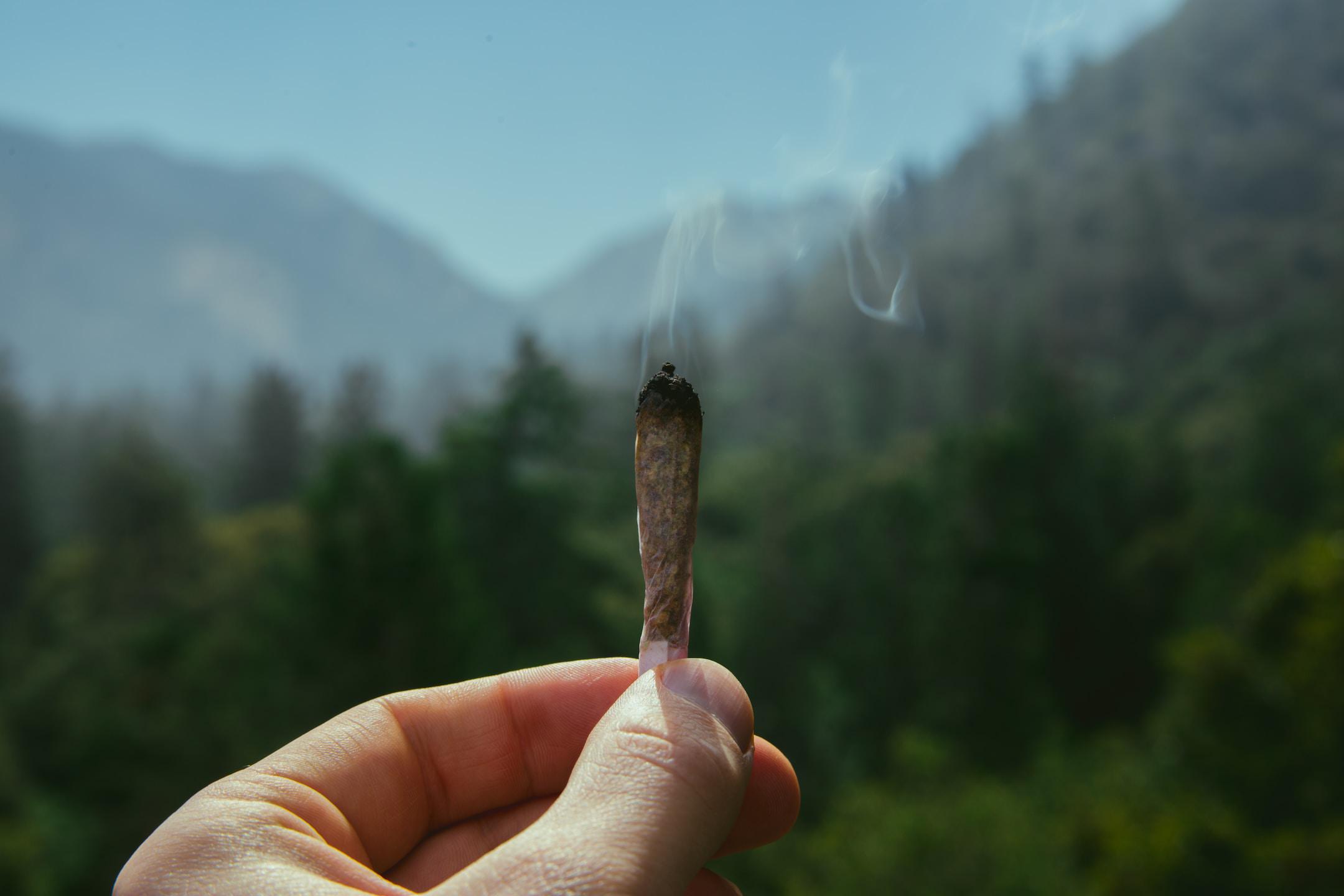 Image of a blunt held in front of a forest bought at the best medical marijuana dispensary in Maine.