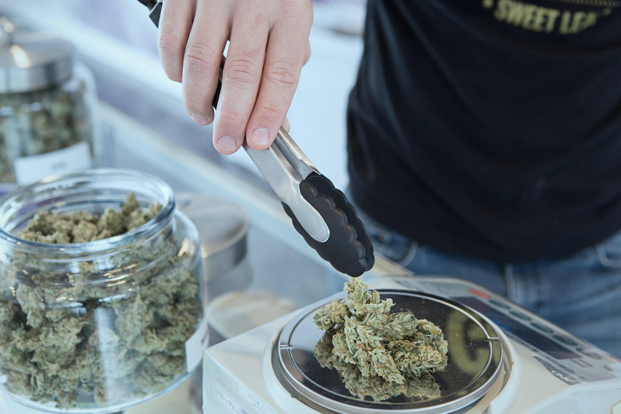 Image of someone weighing marijuana at a medical marijuana clinic.