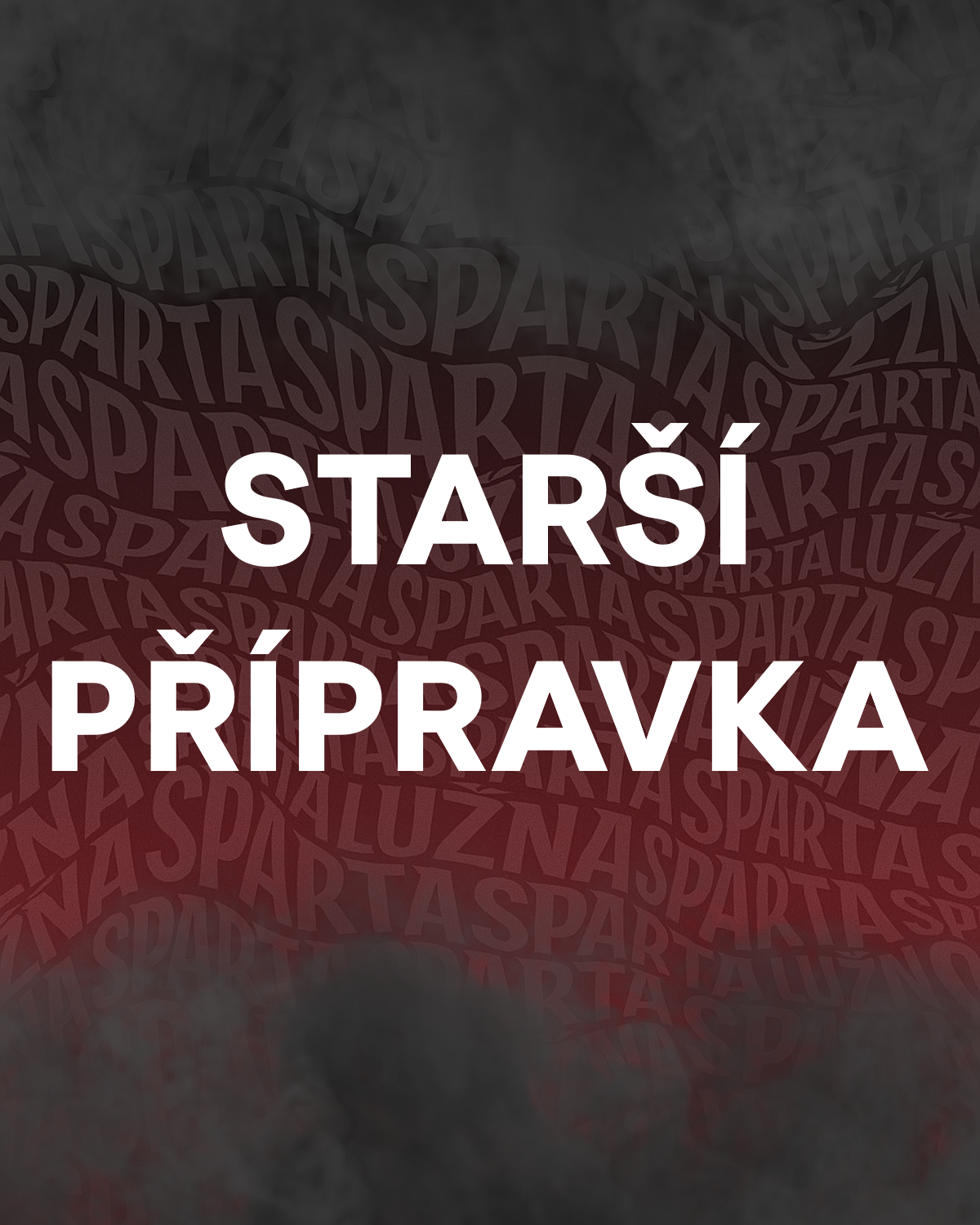 web - starší přípravka.png