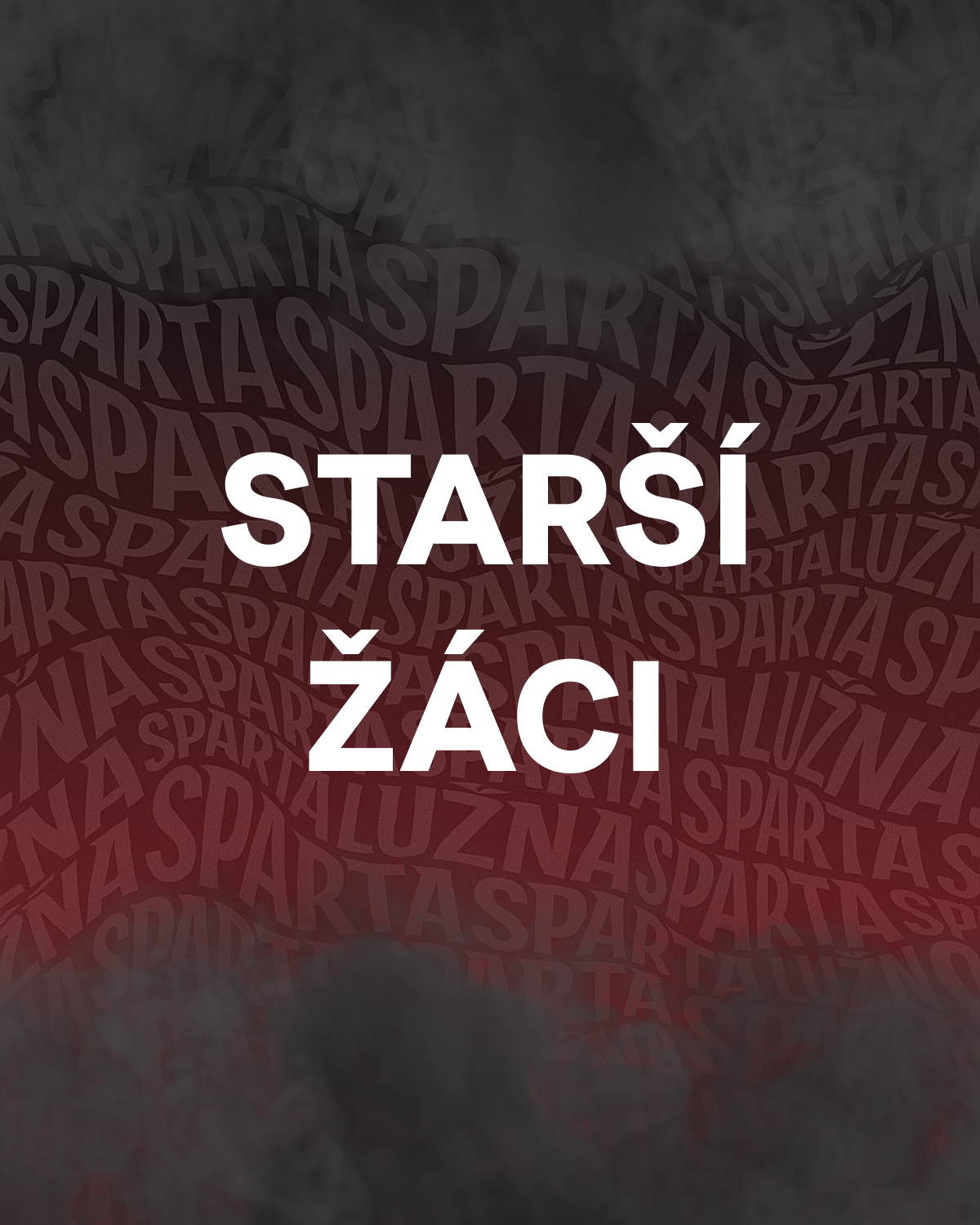 web - starší žáci.png