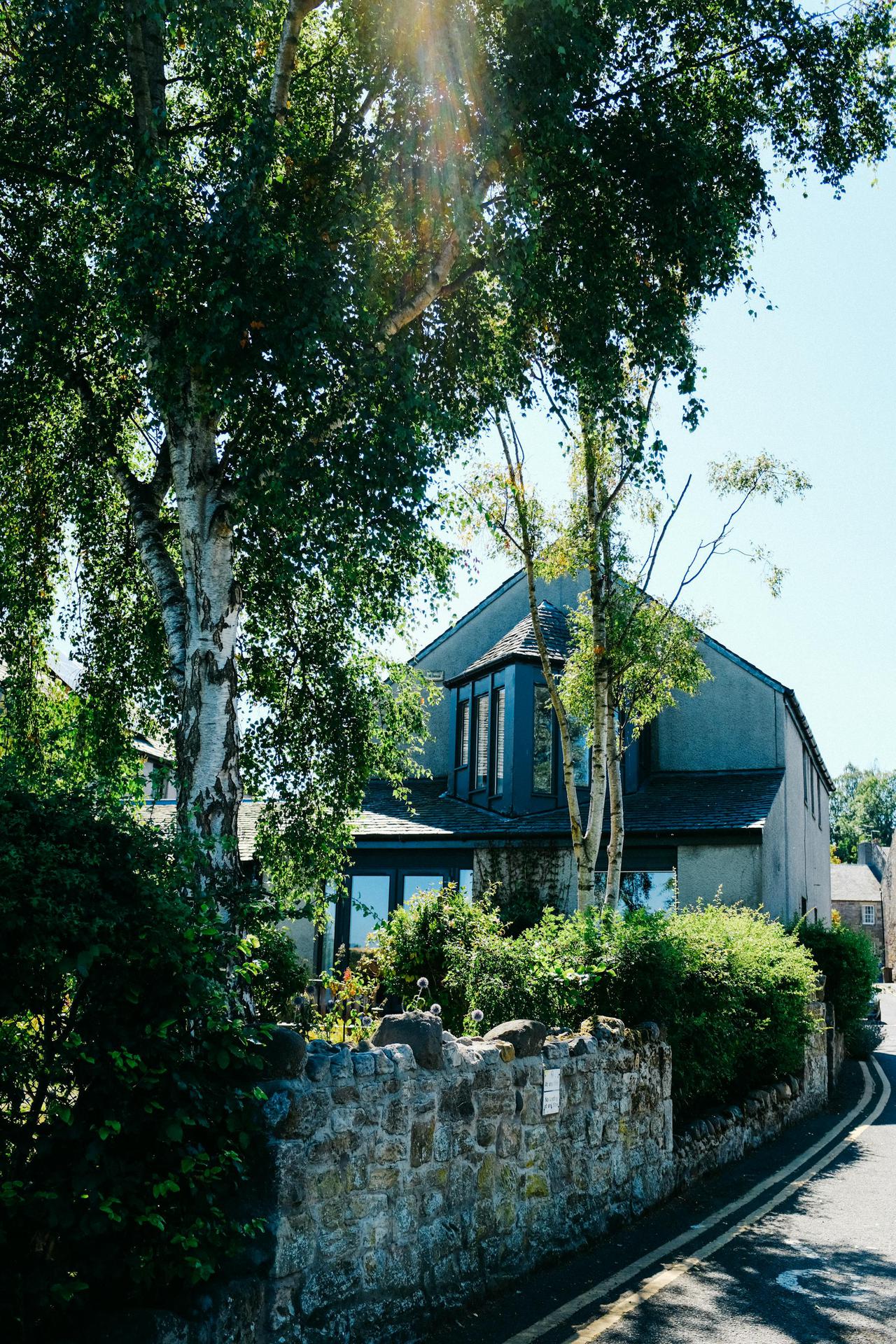 A picturesque stone house surrounded by birches and garden under clear skies.