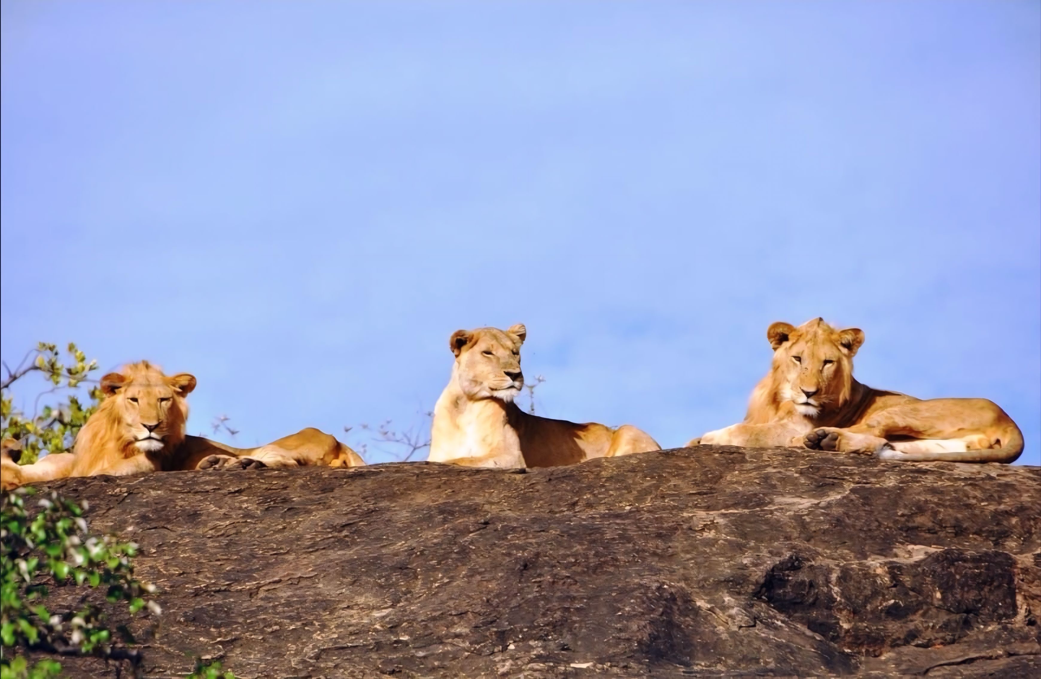 Kidepo Valley wildlife safari landscape