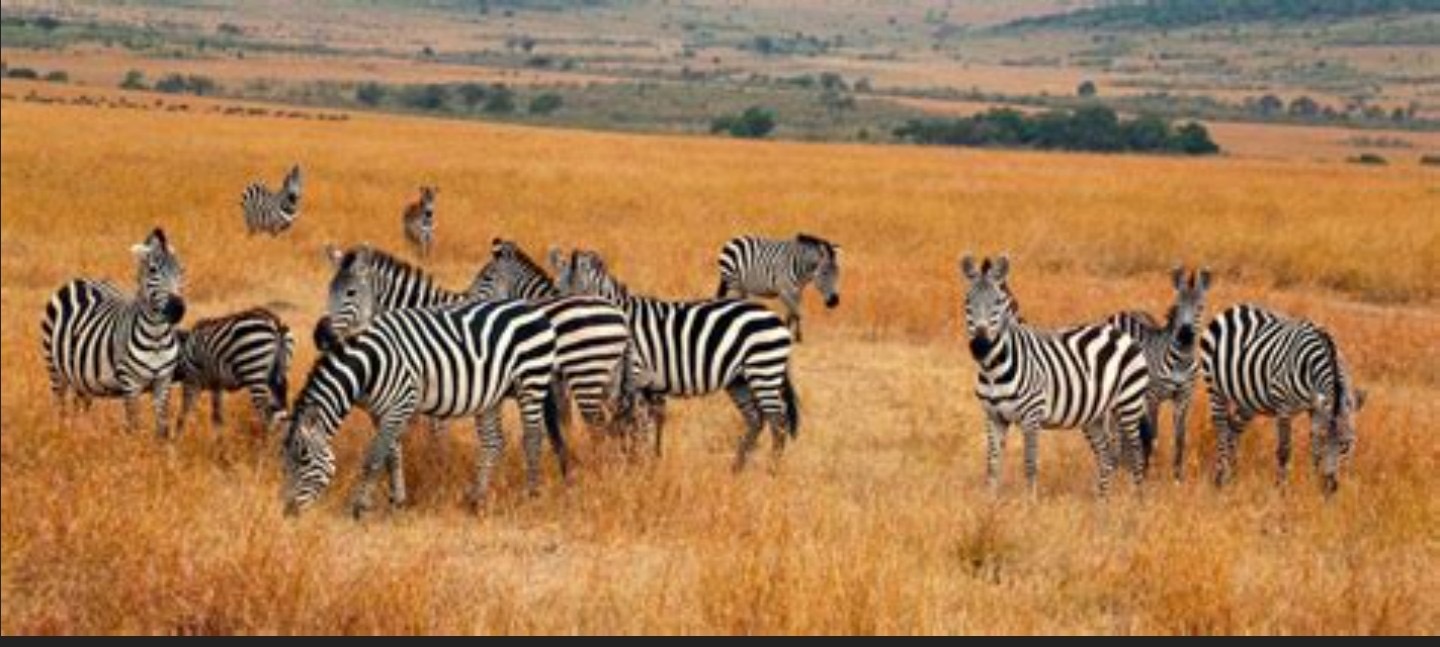 Uganda adventure and exploration